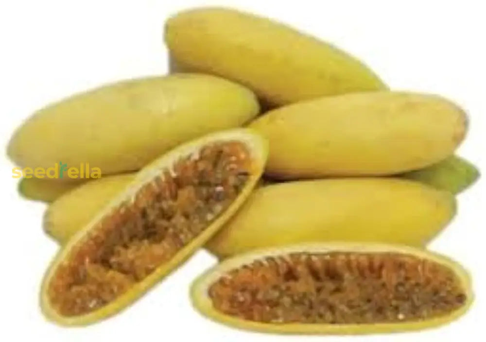 Tropical Passion Fruit Seeds Easy Growing Banana Type