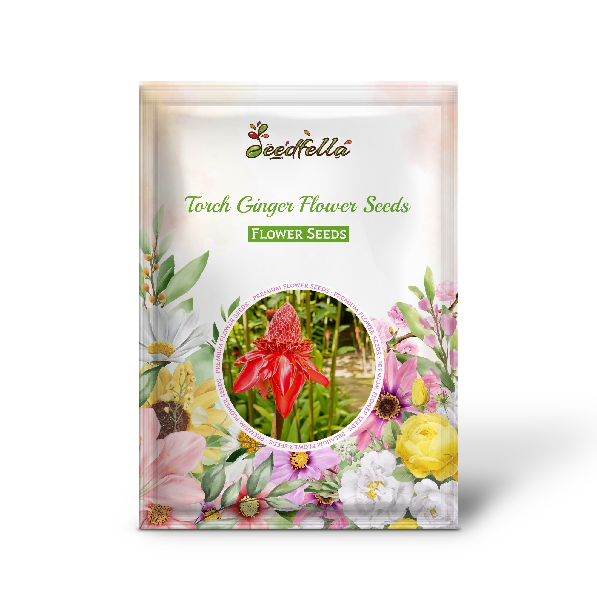 Tropical Torch Ginger Blooms in Garden