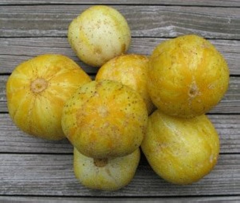 True Lemon Cucumber Seeds Non-GMO for zesty refreshing garden cucumbers