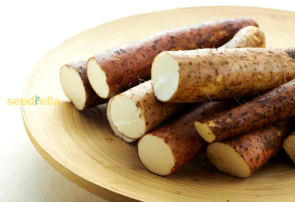 True yam growing guide