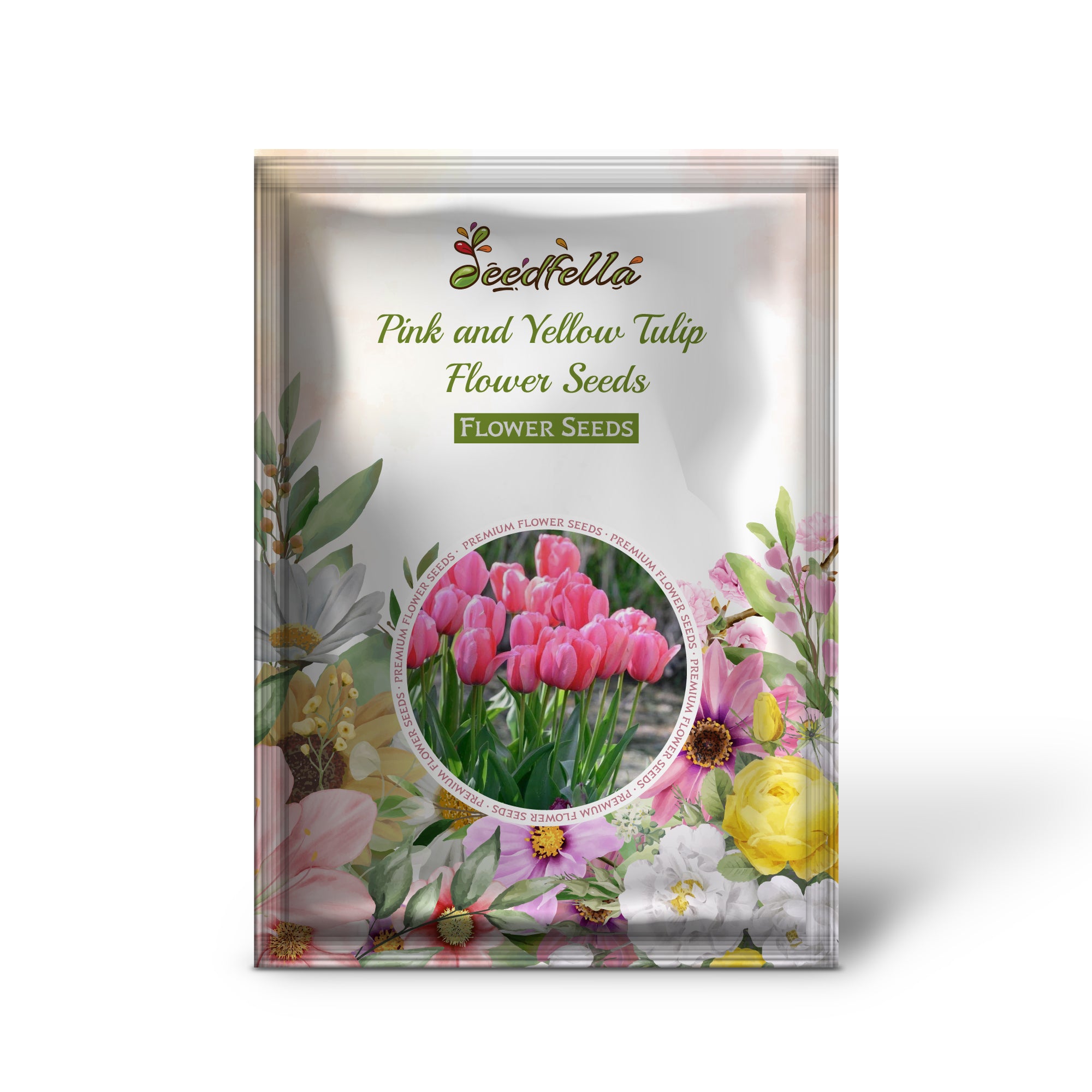 Pink and Yellow Tulip Blooms in Spring Garden