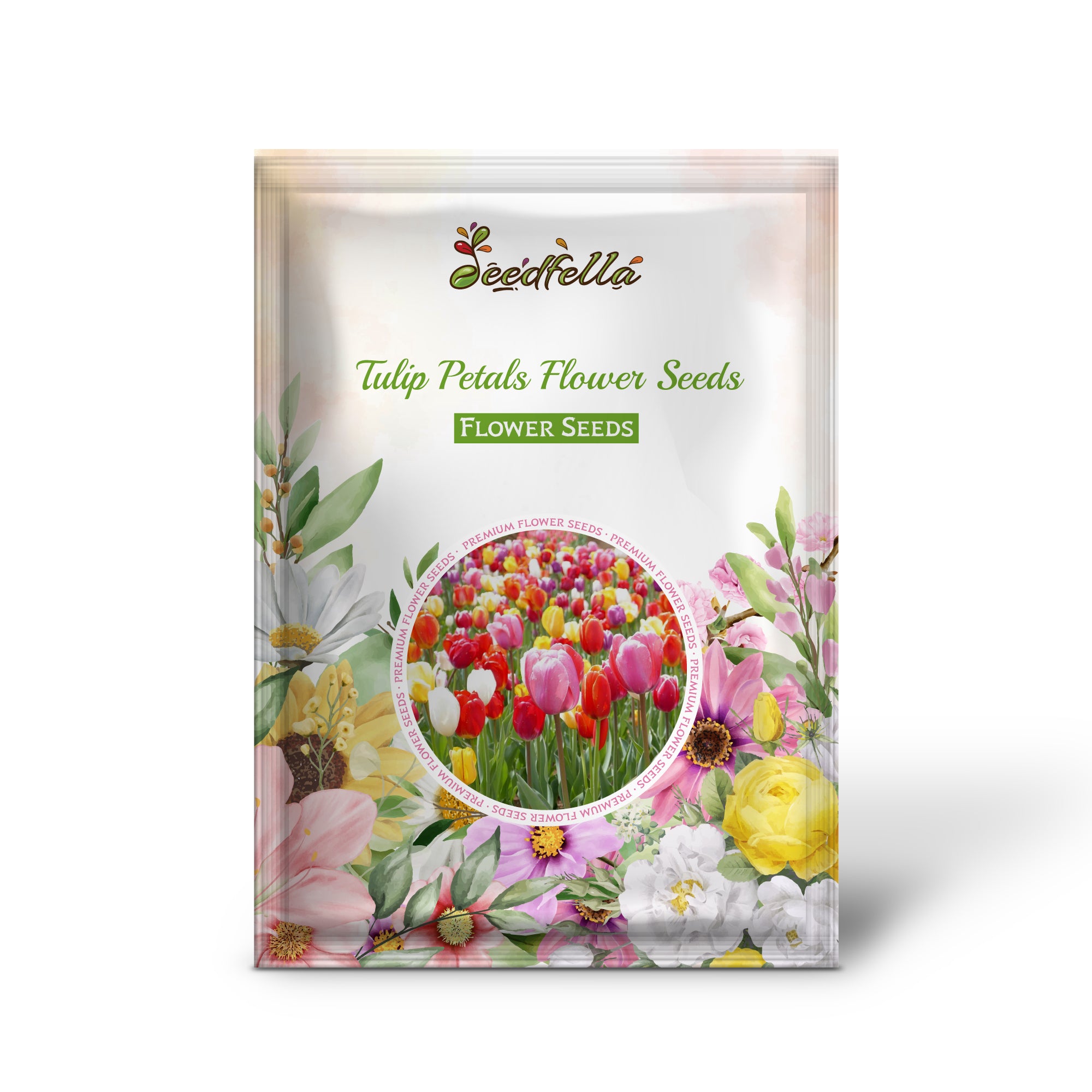 Tulips Blooming in a Colorful Spring Garden