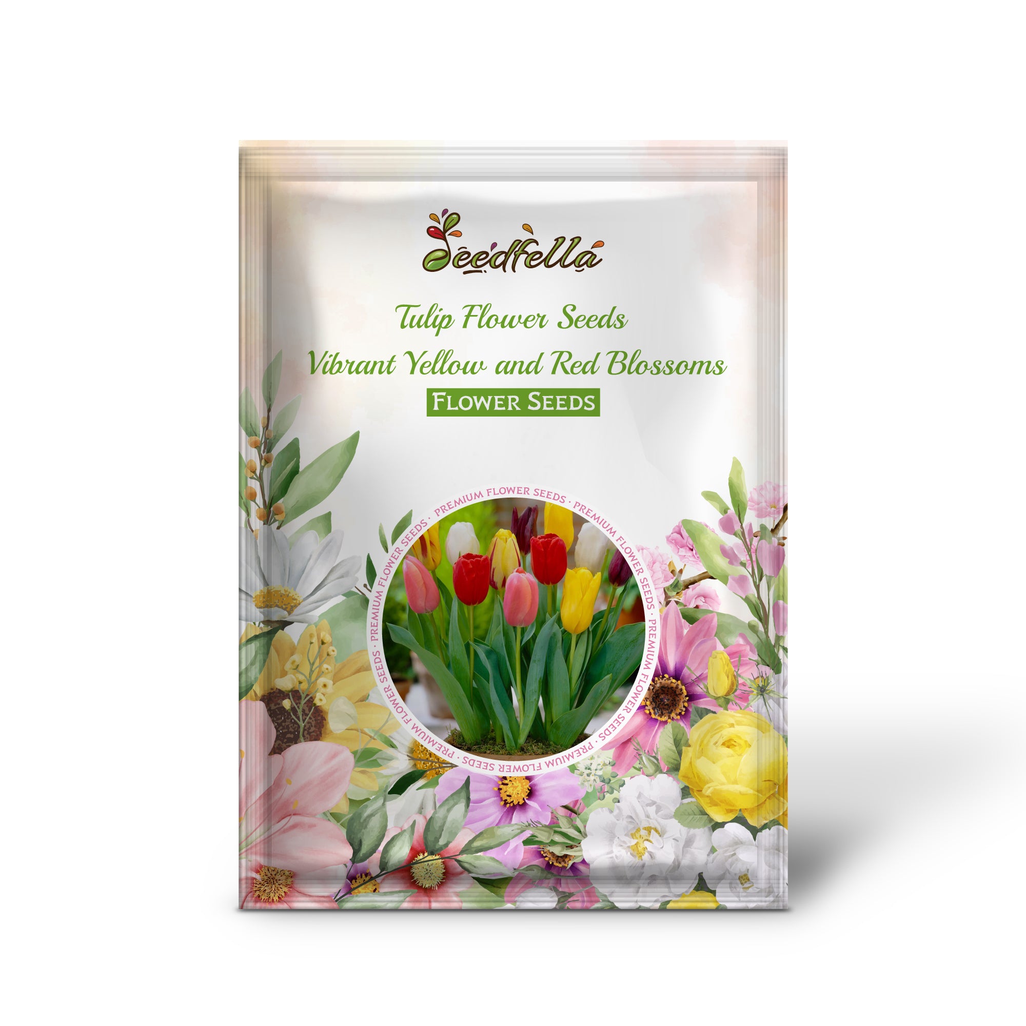 Vibrant Yellow and Red Tulip Blooms