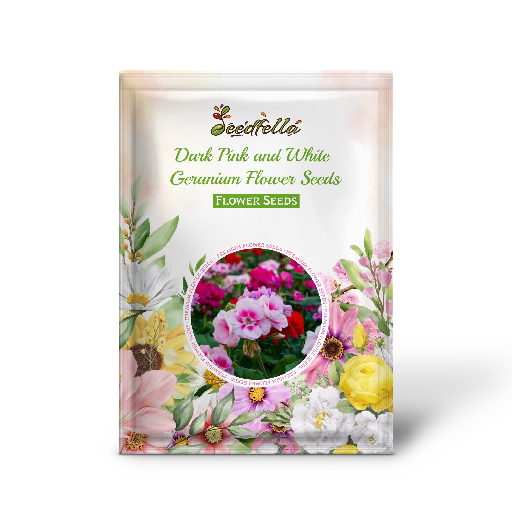 Two-Tone Dark Pink and White Geranium Blooms in Garden