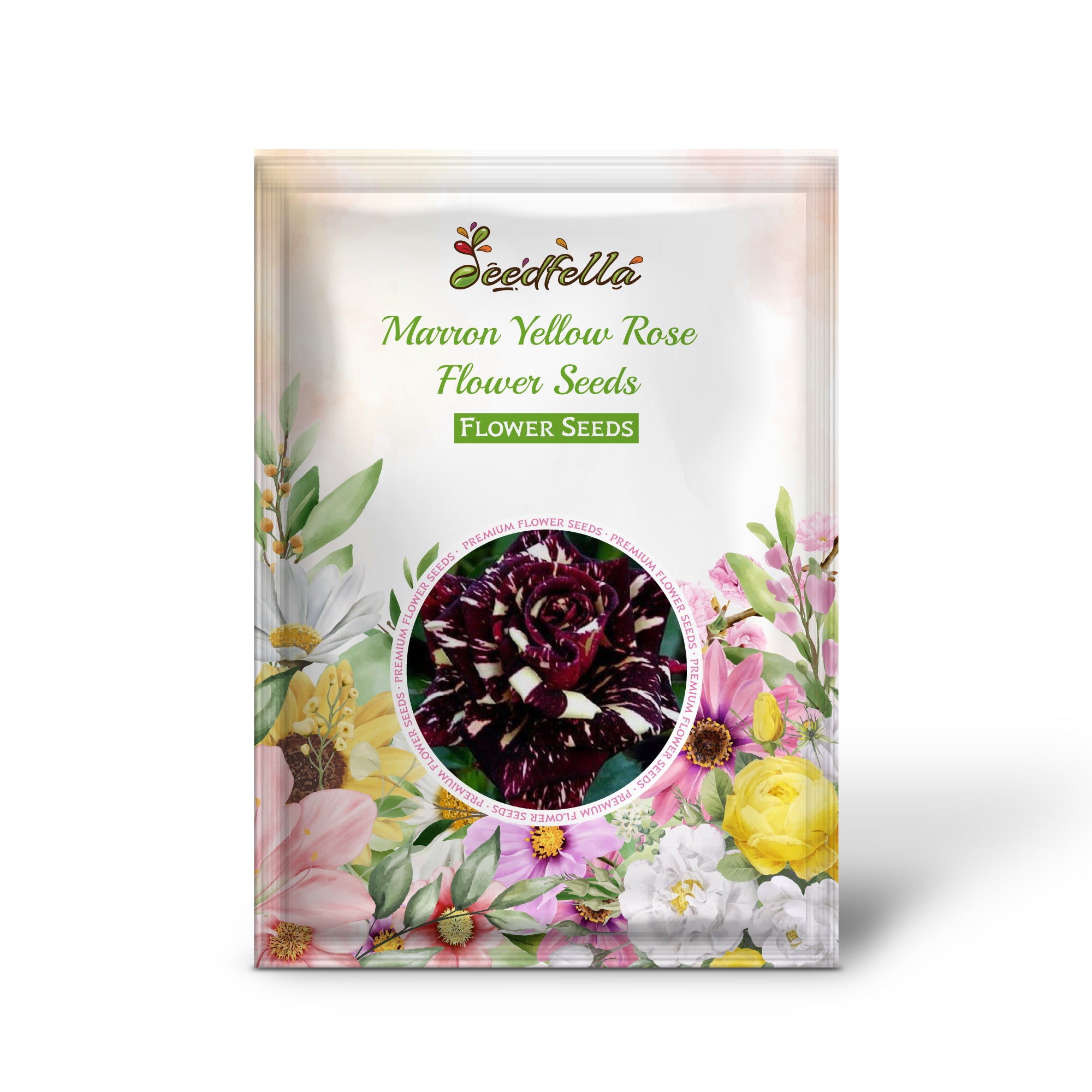 Two-Tone Maroon and Yellow Rose Blooms