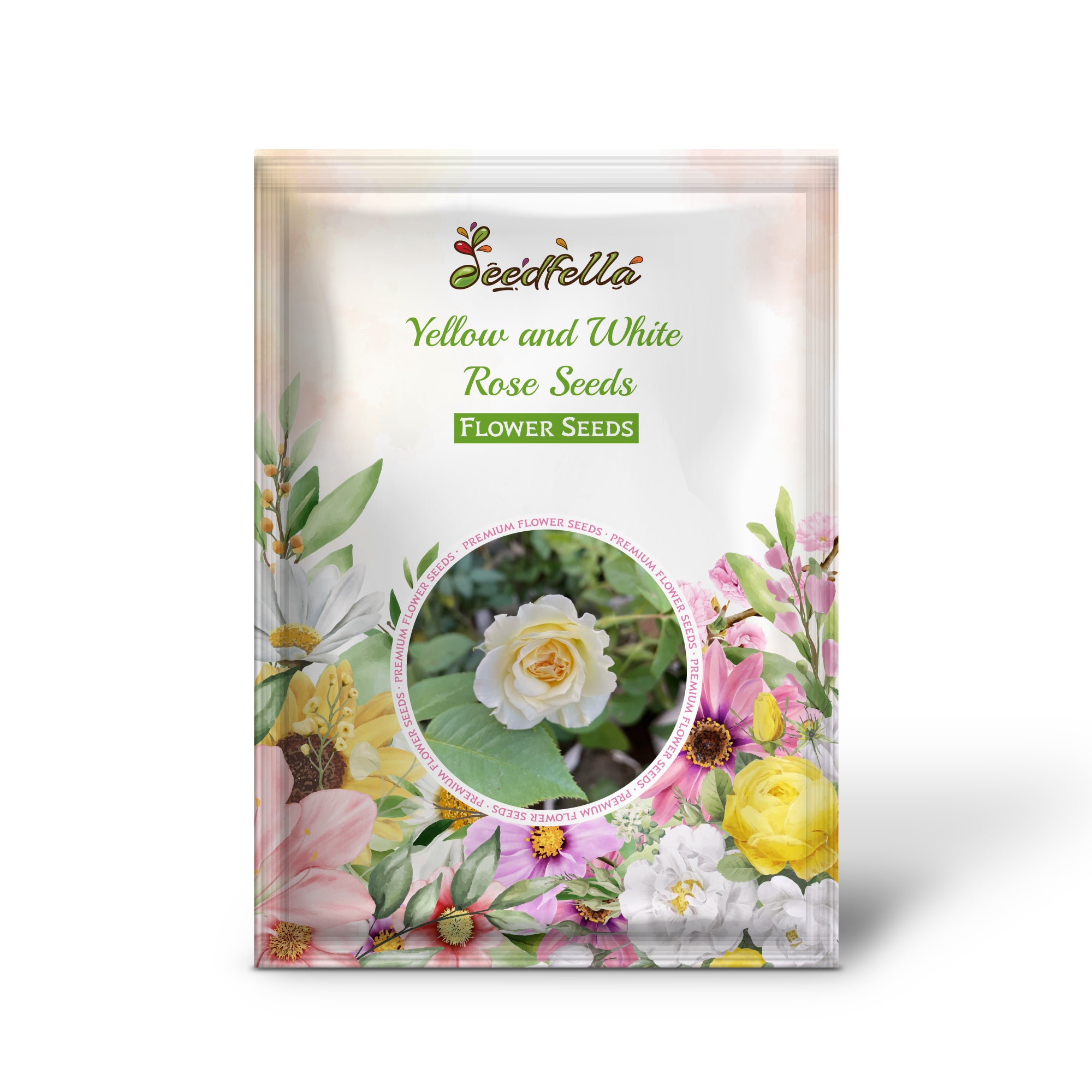 Two-tone Yellow and White Roses blooming in garden