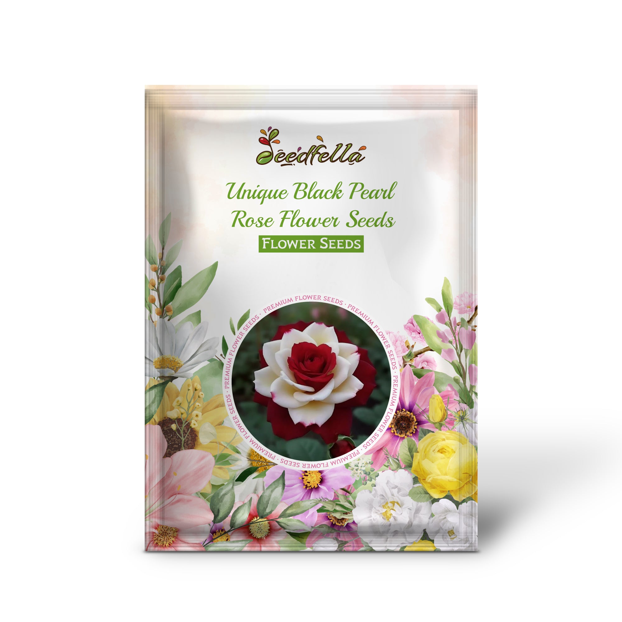 Unique Black Rose Seeds with velvety dark blooms