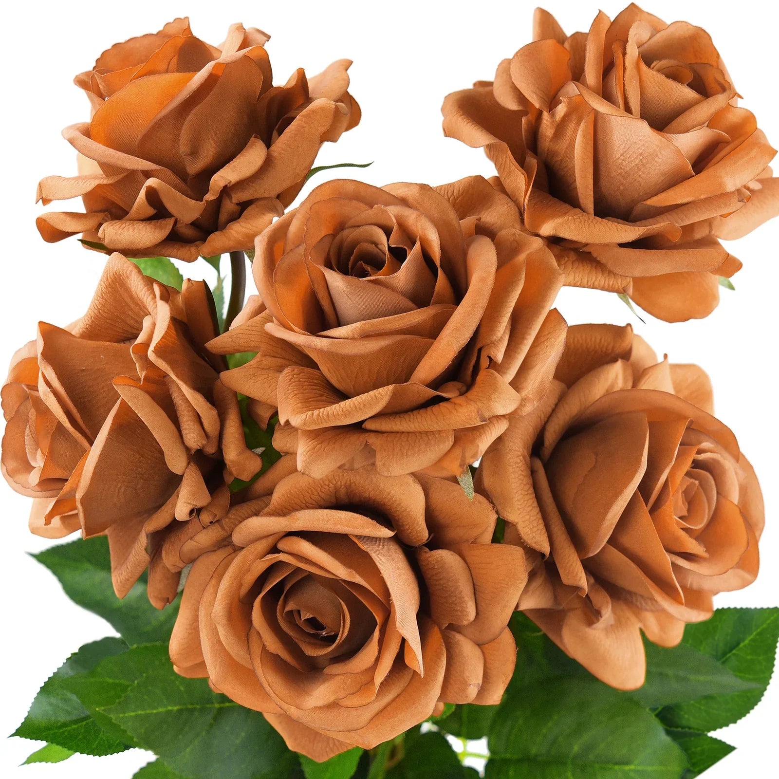 Rose FUnique Brown Rose Seeds for Planting – Rare Garden Roseslower Seeds Brown Planting