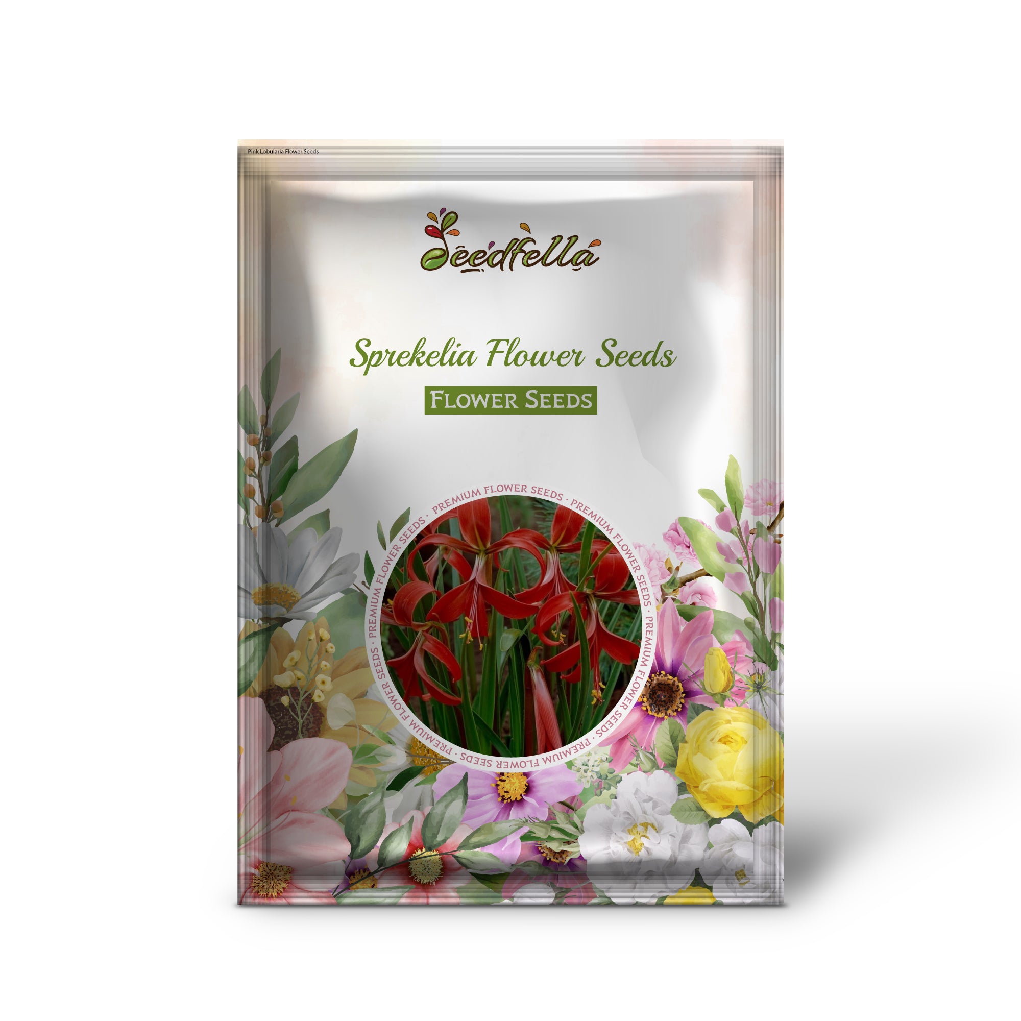 Unique Sprekelia Seeds For Planting