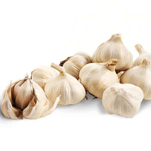 Nutritious Garlic Seeds for Growing Flavorful Vegetables