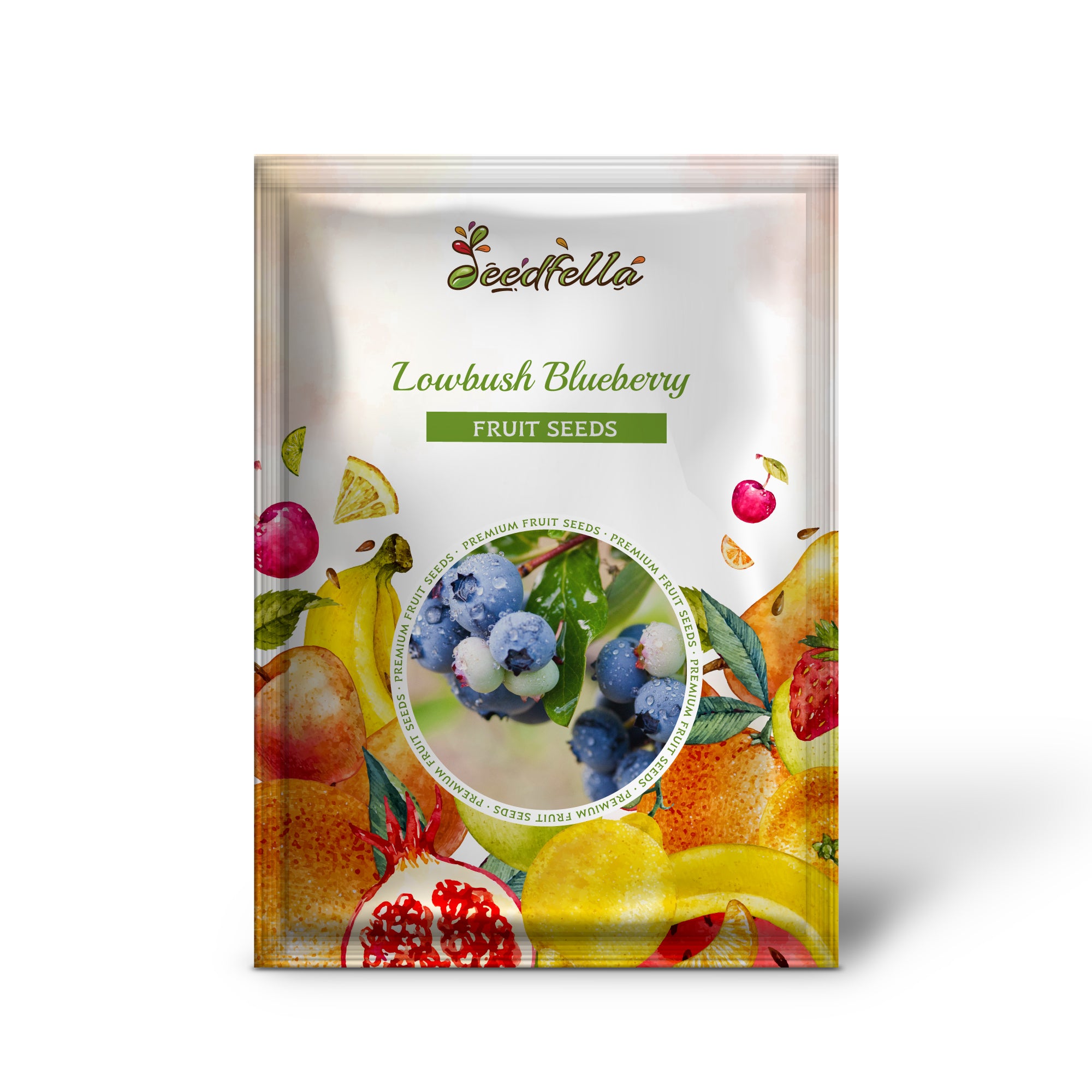 Vaccinium angustifolium Seeds – Lowbush Blueberry Non-GMO Shrub