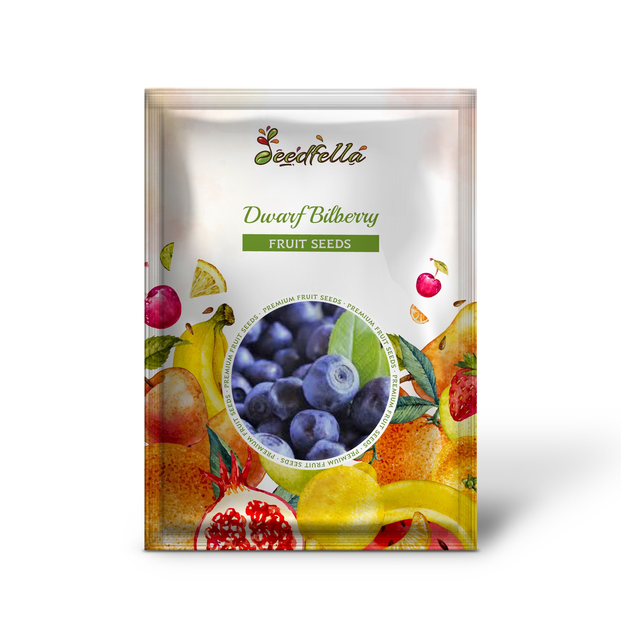 Vaccinium caespitosum Seeds – Dwarf Bilberry Blueberry Shrub