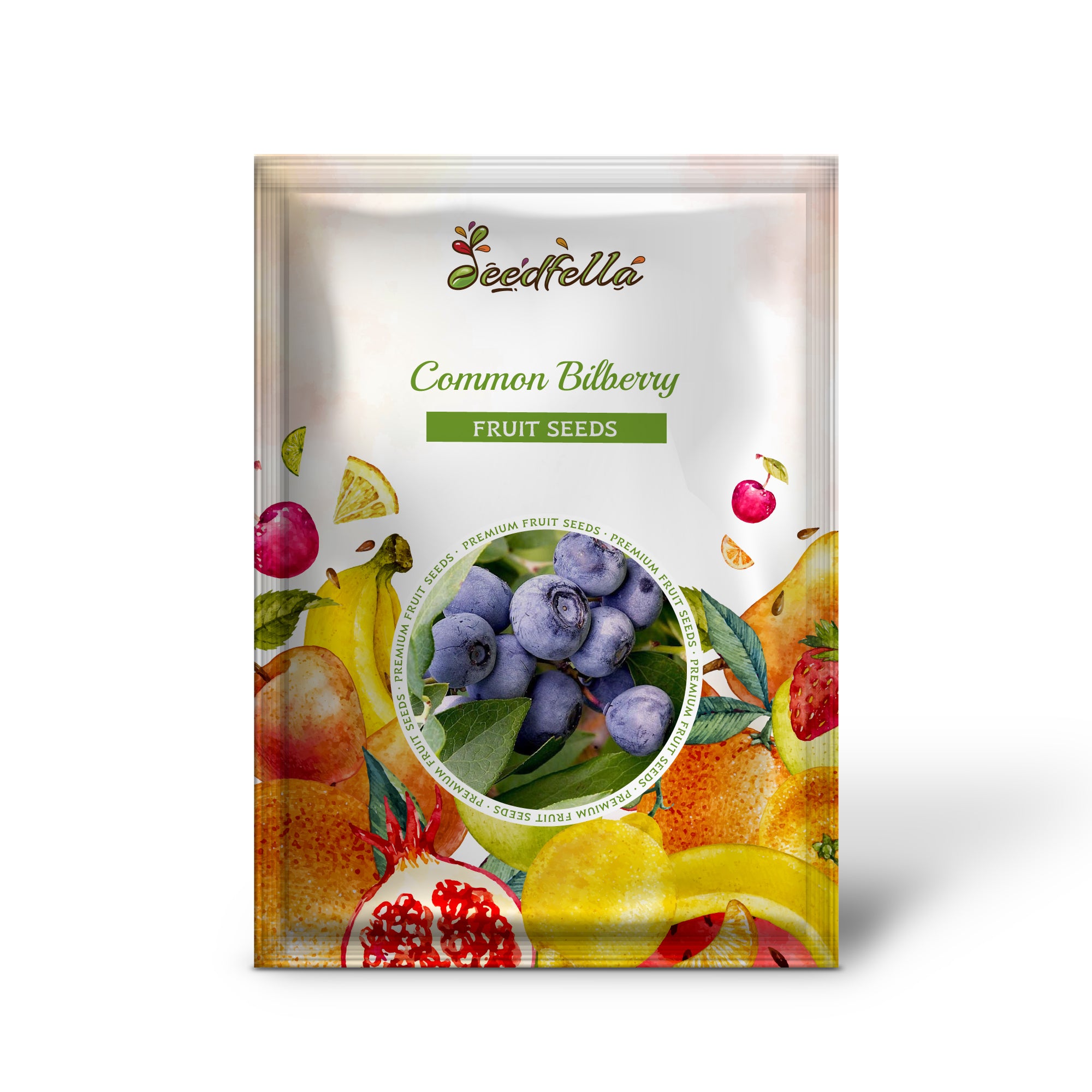 Vaccinium myrtillus seedlings growing in nursery pots