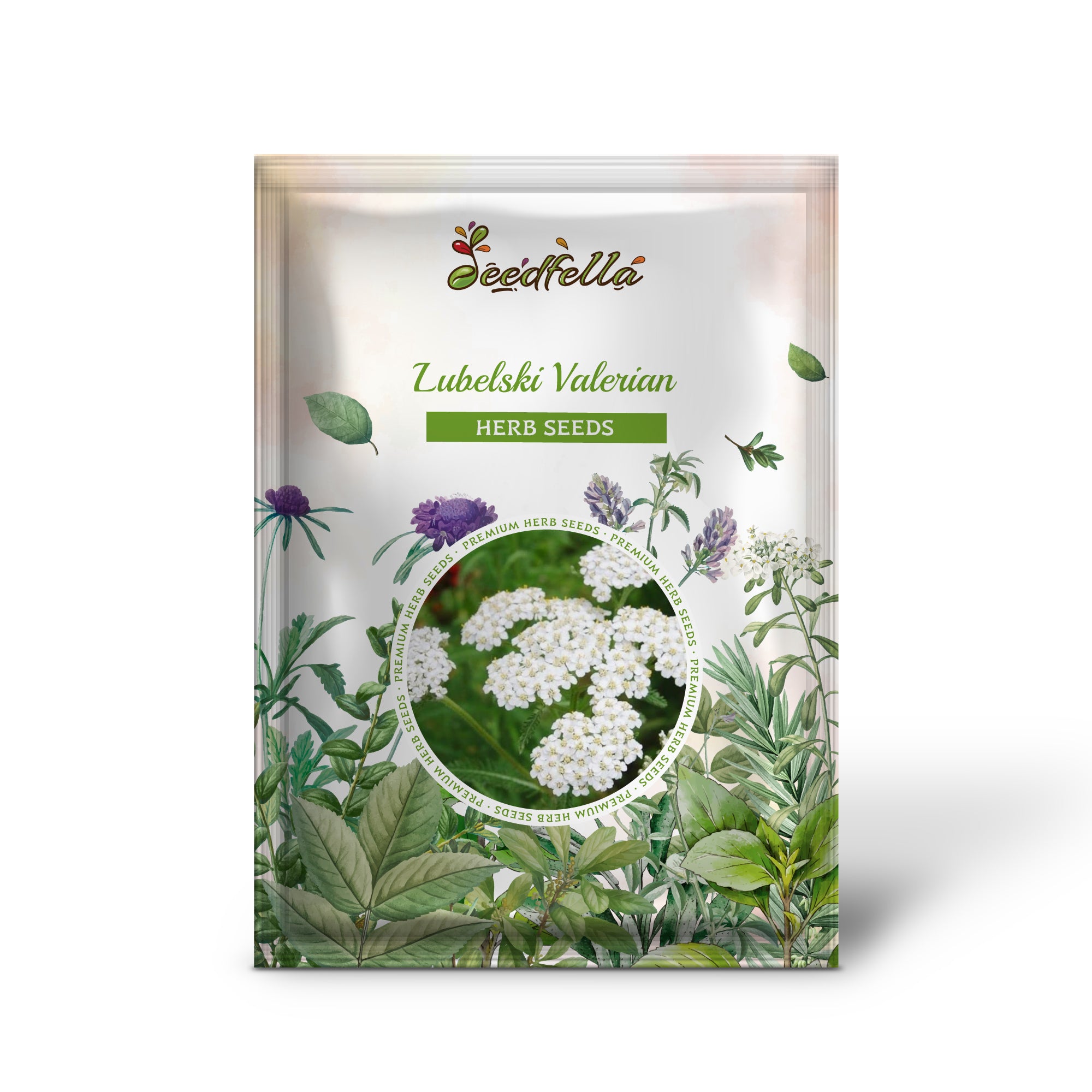 Valeriana officinalis Lubelski flowers attracting pollinators