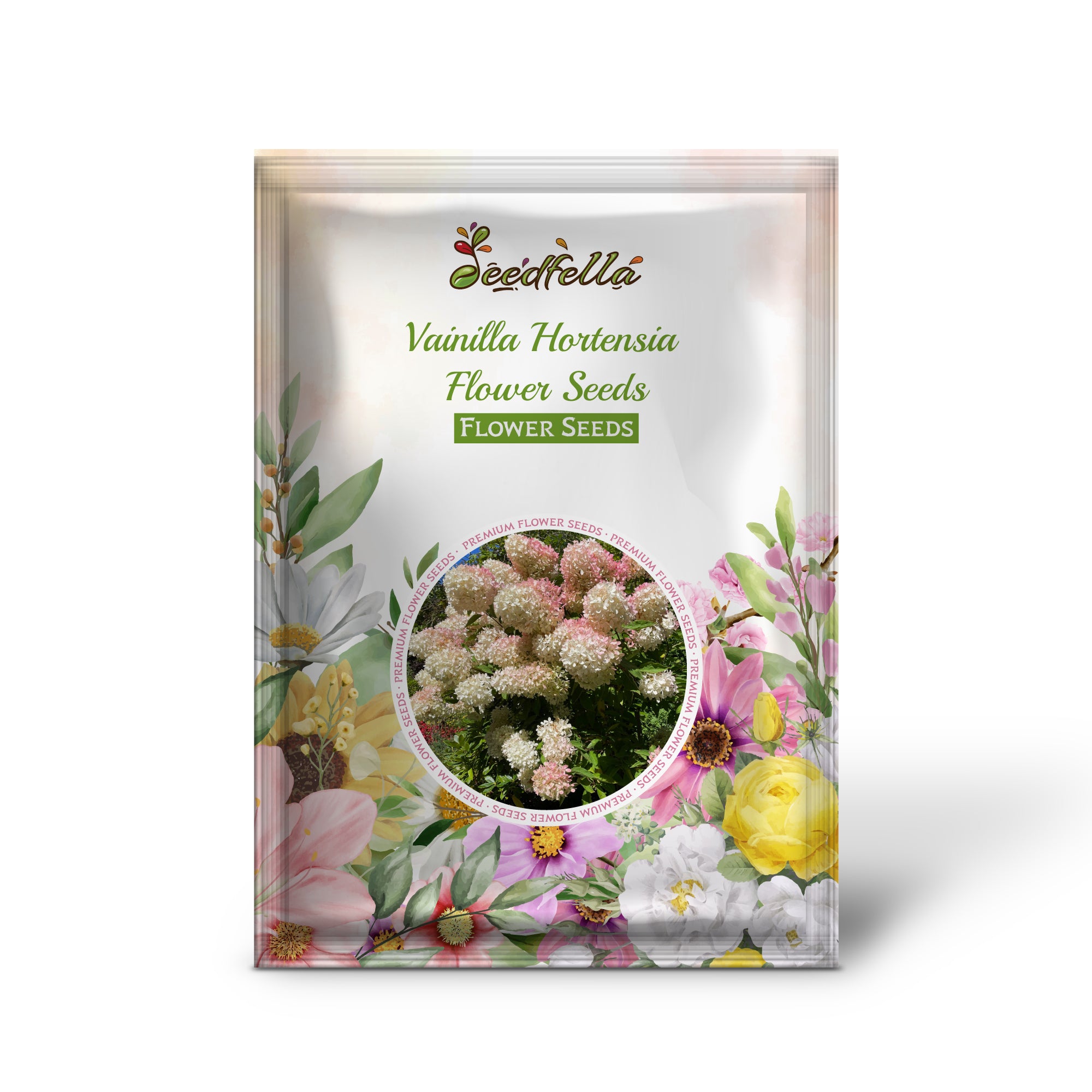 Vanilla Hydrangea Seeds For Planting