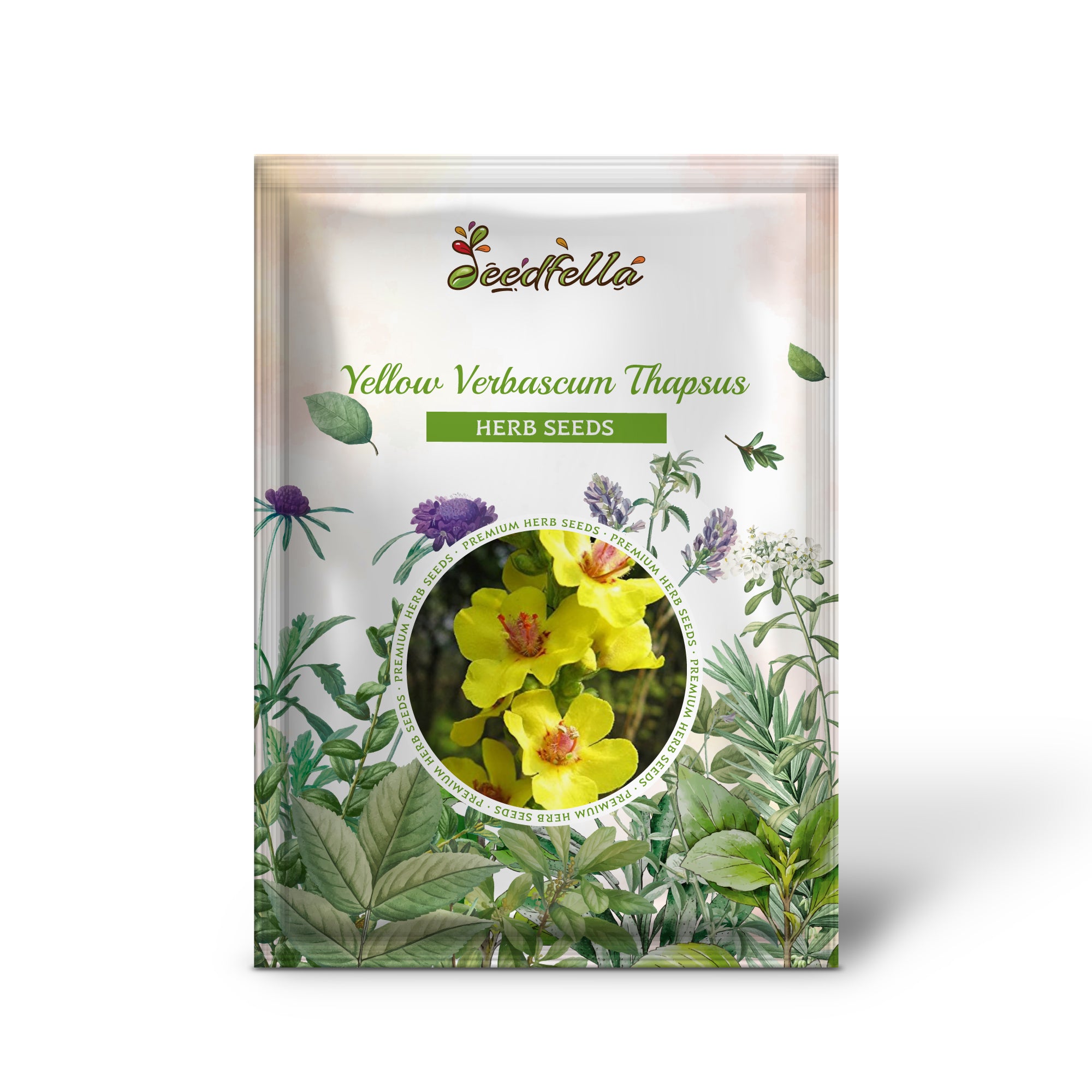 Verbascum thapsus yellow flower herb seeds