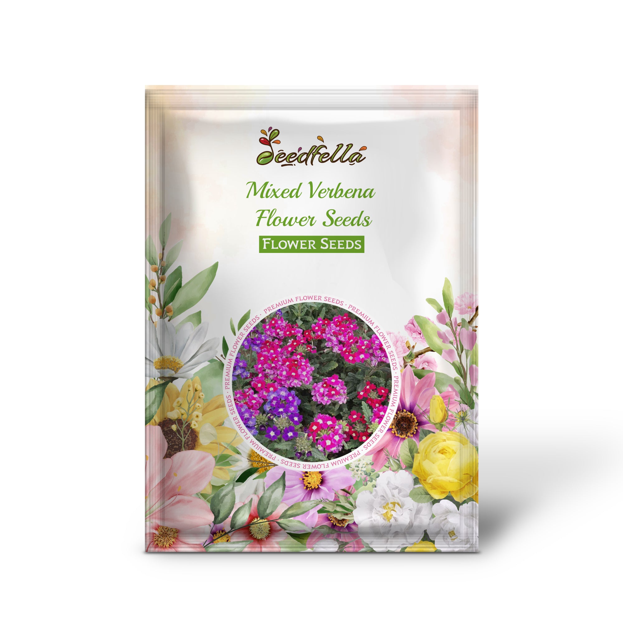 Colorful Verbena blooms in mixed shades