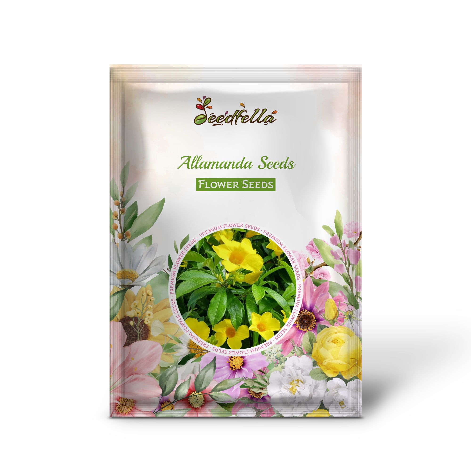 Vibrant Allamanda Blooms in Garden