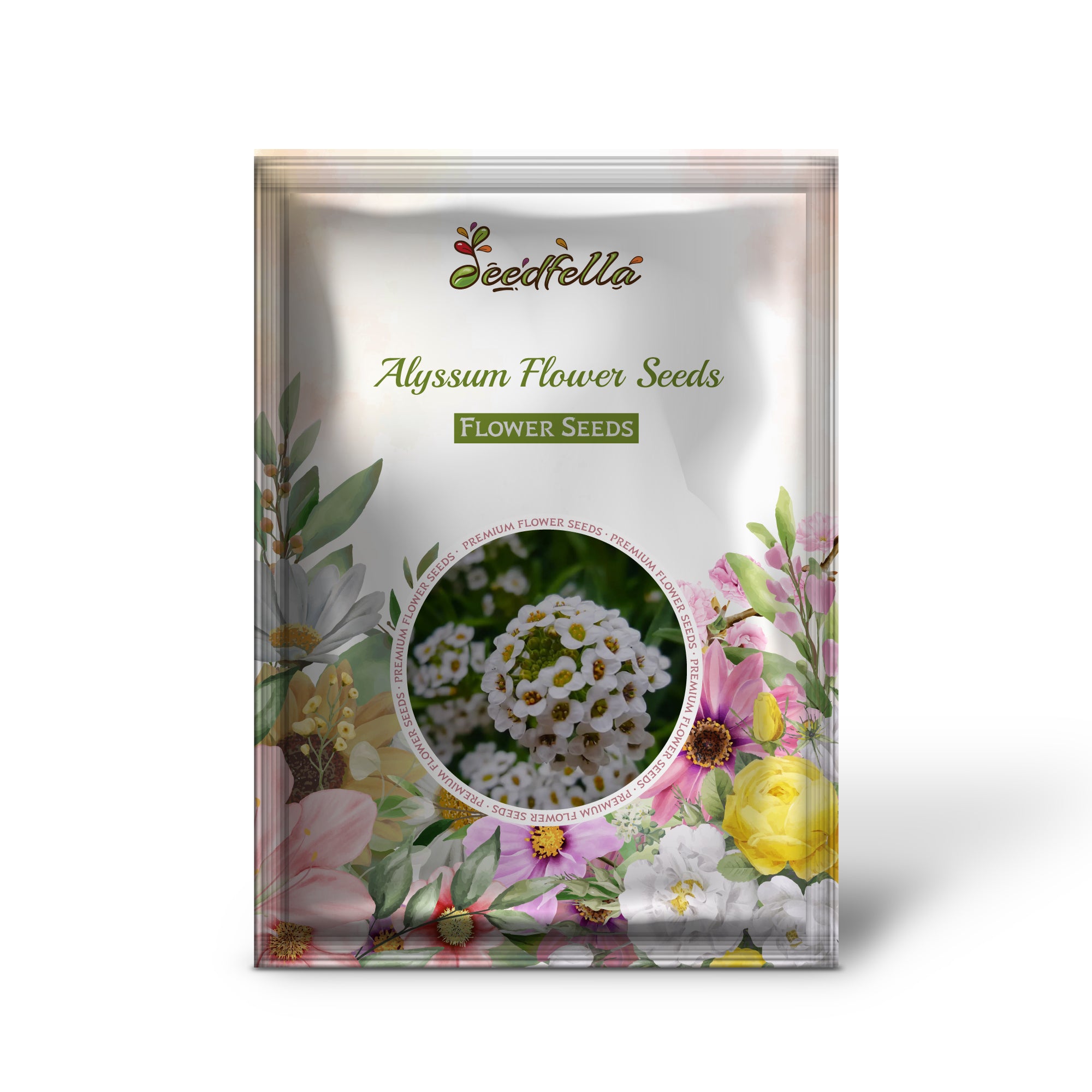 Vibrant Alyssum Blooms in Garden