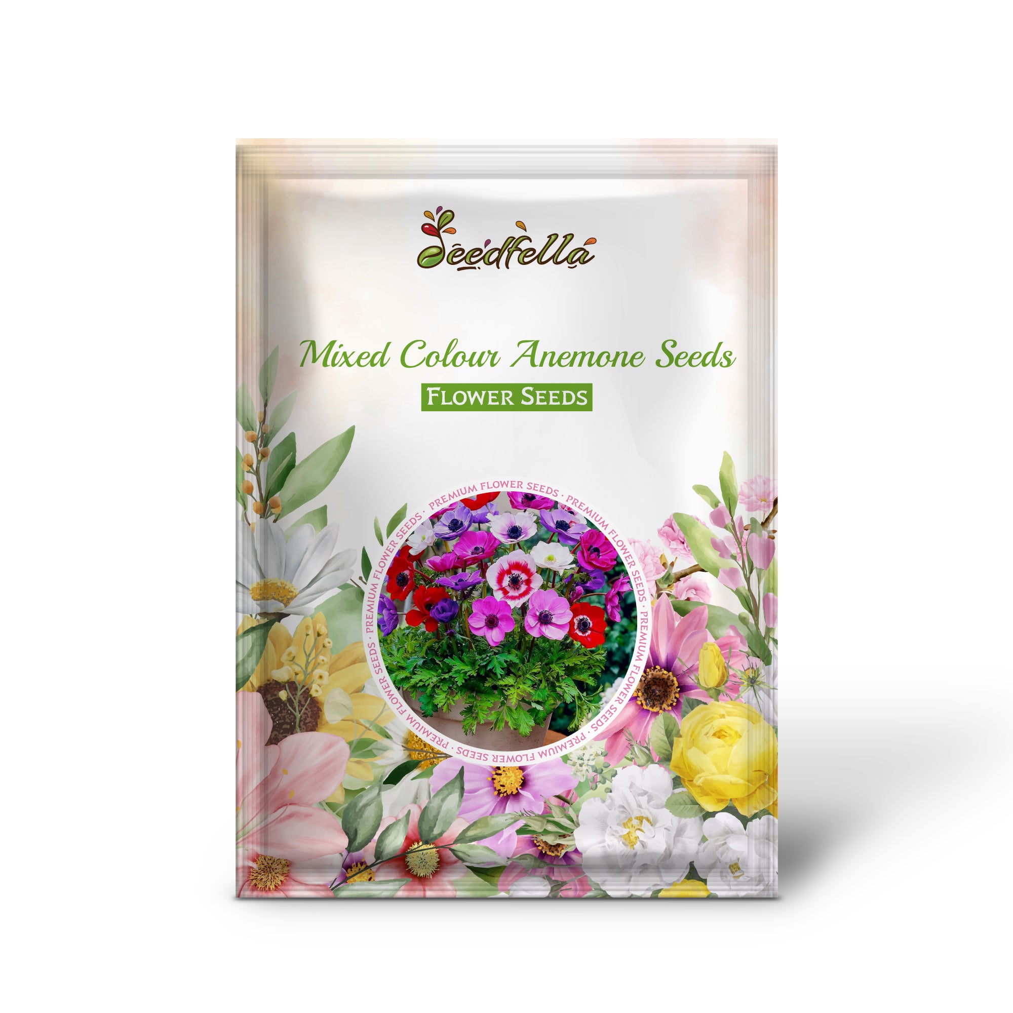 Vibrant Mixed Anemone Flowers in Full Bloom