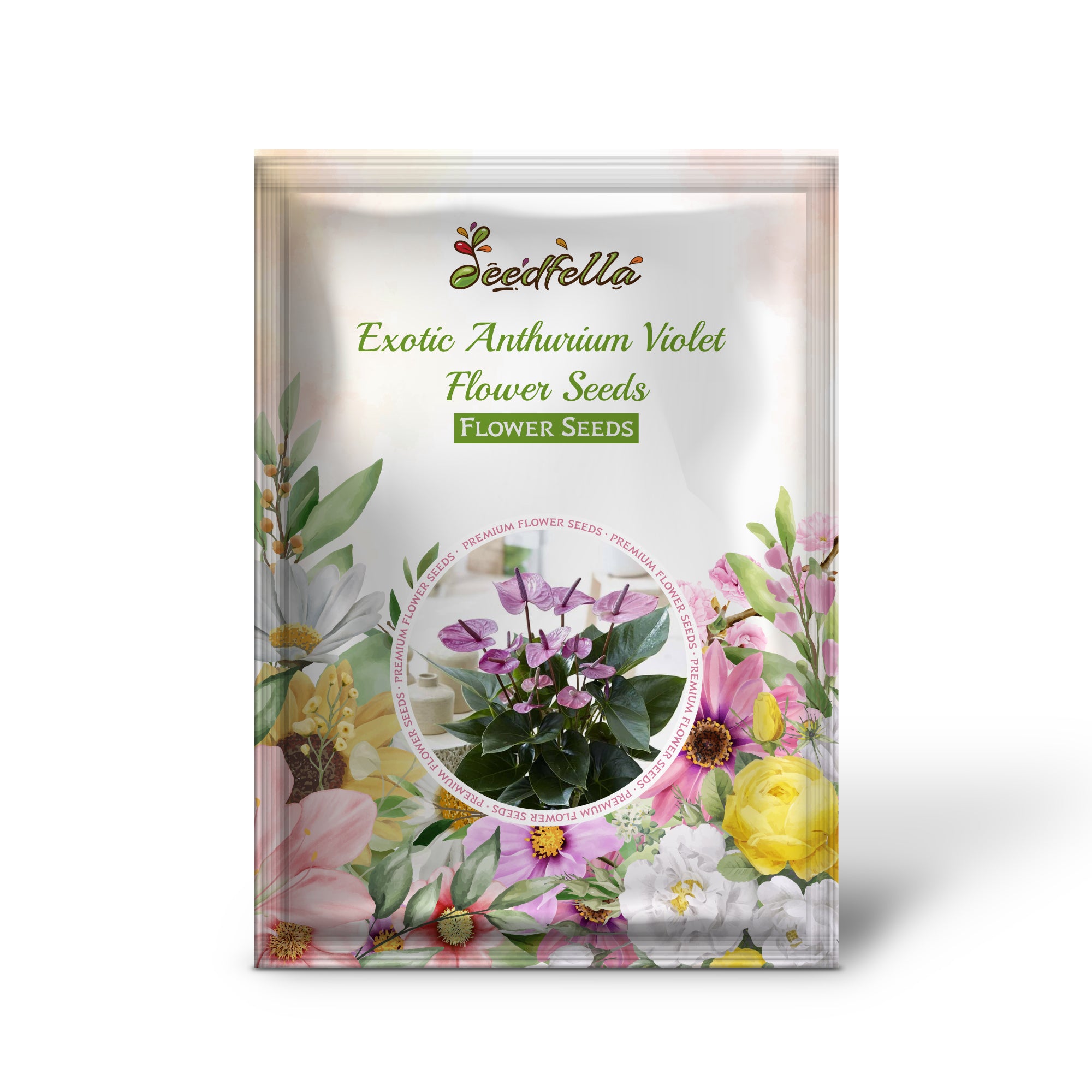 Vibrant Violet Anthurium Blooms in Garden