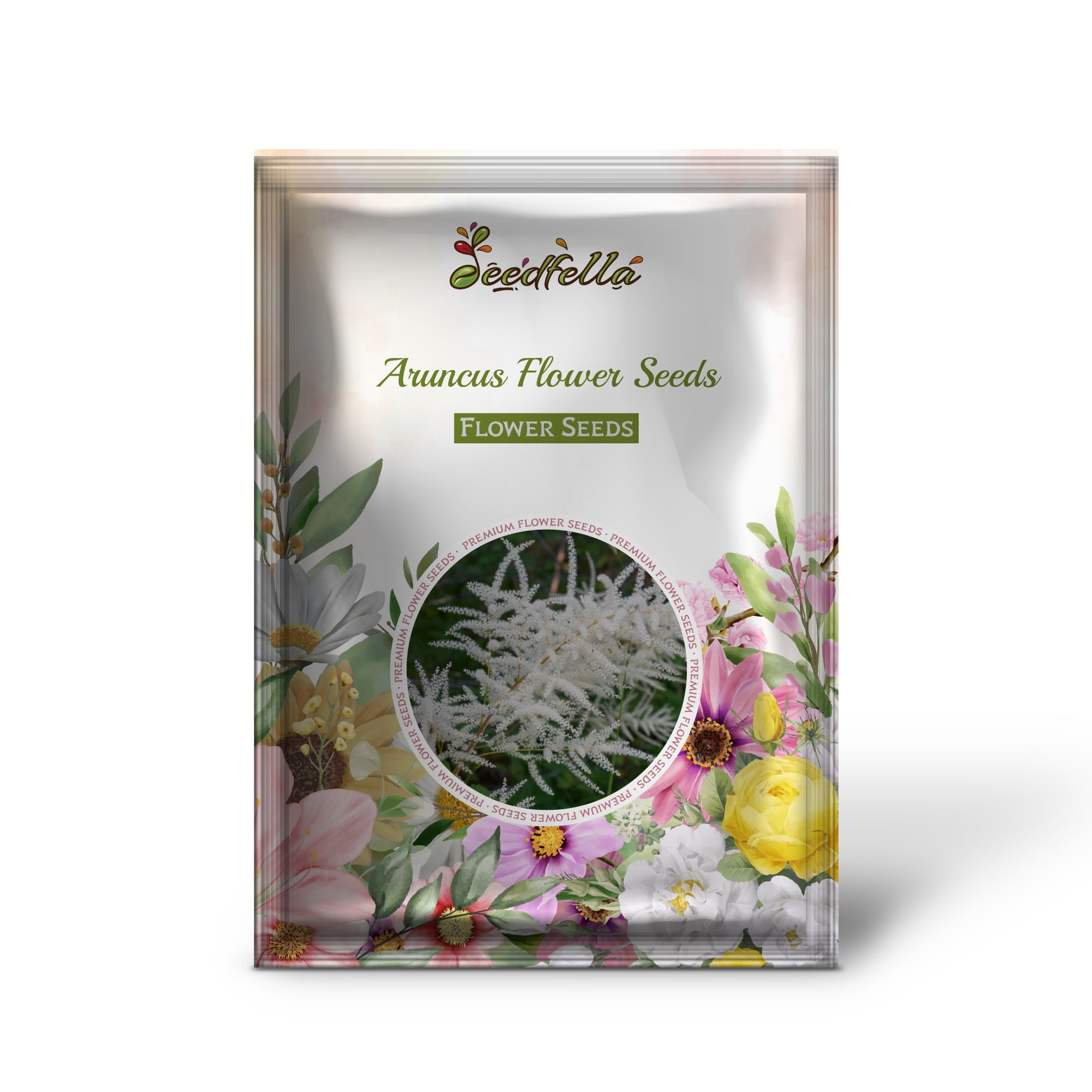 Vibrant Aruncus White Blooms in Garden