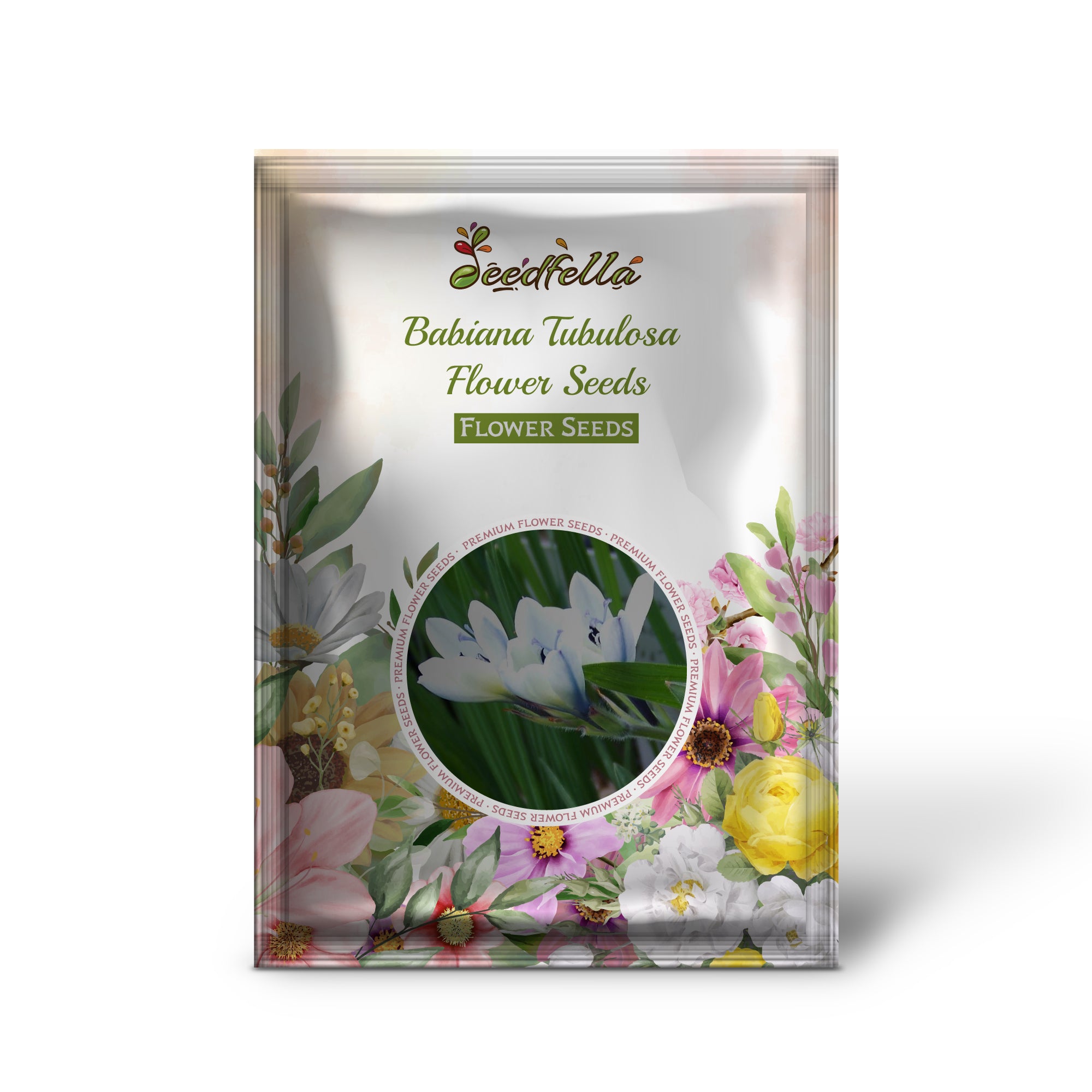 Vibrant Babiana Tubulosa Blooms in Garden