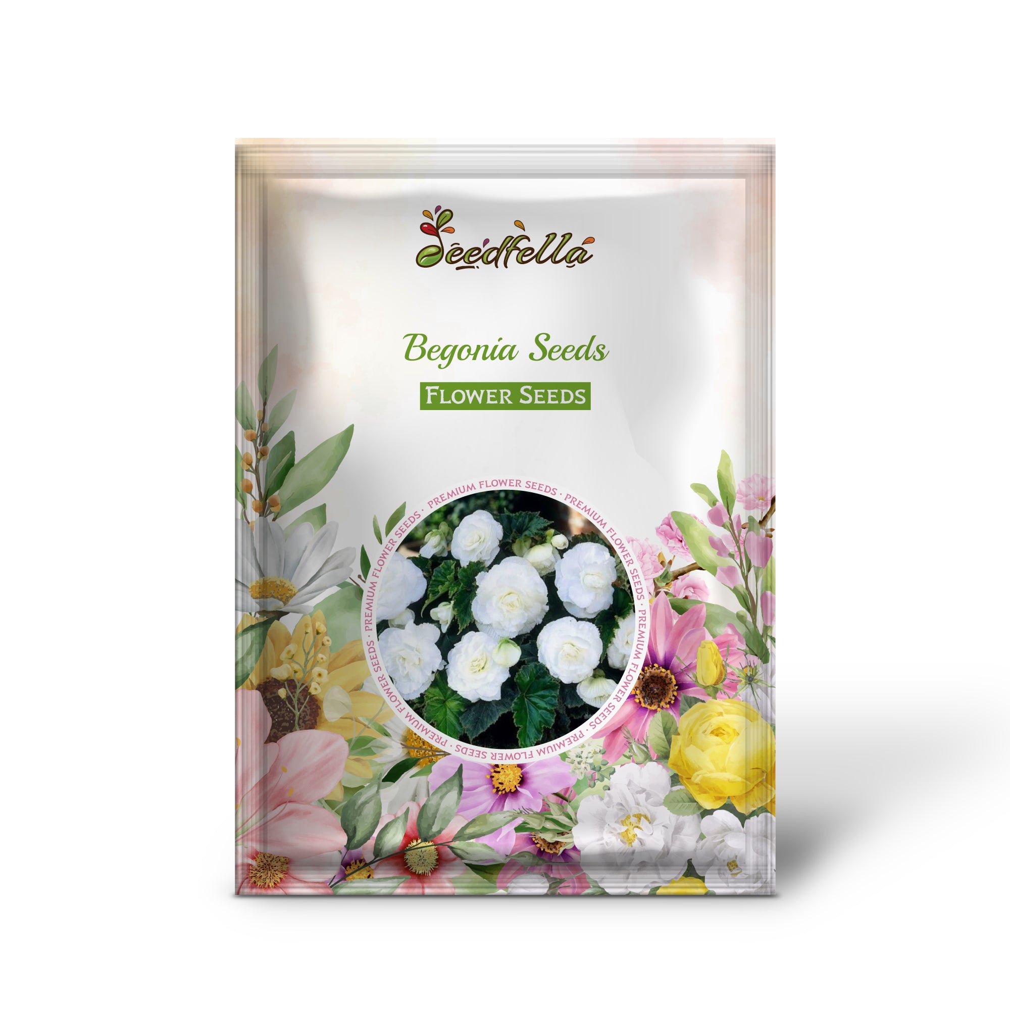 Vibrant Begonia Blooms in Shade Garden