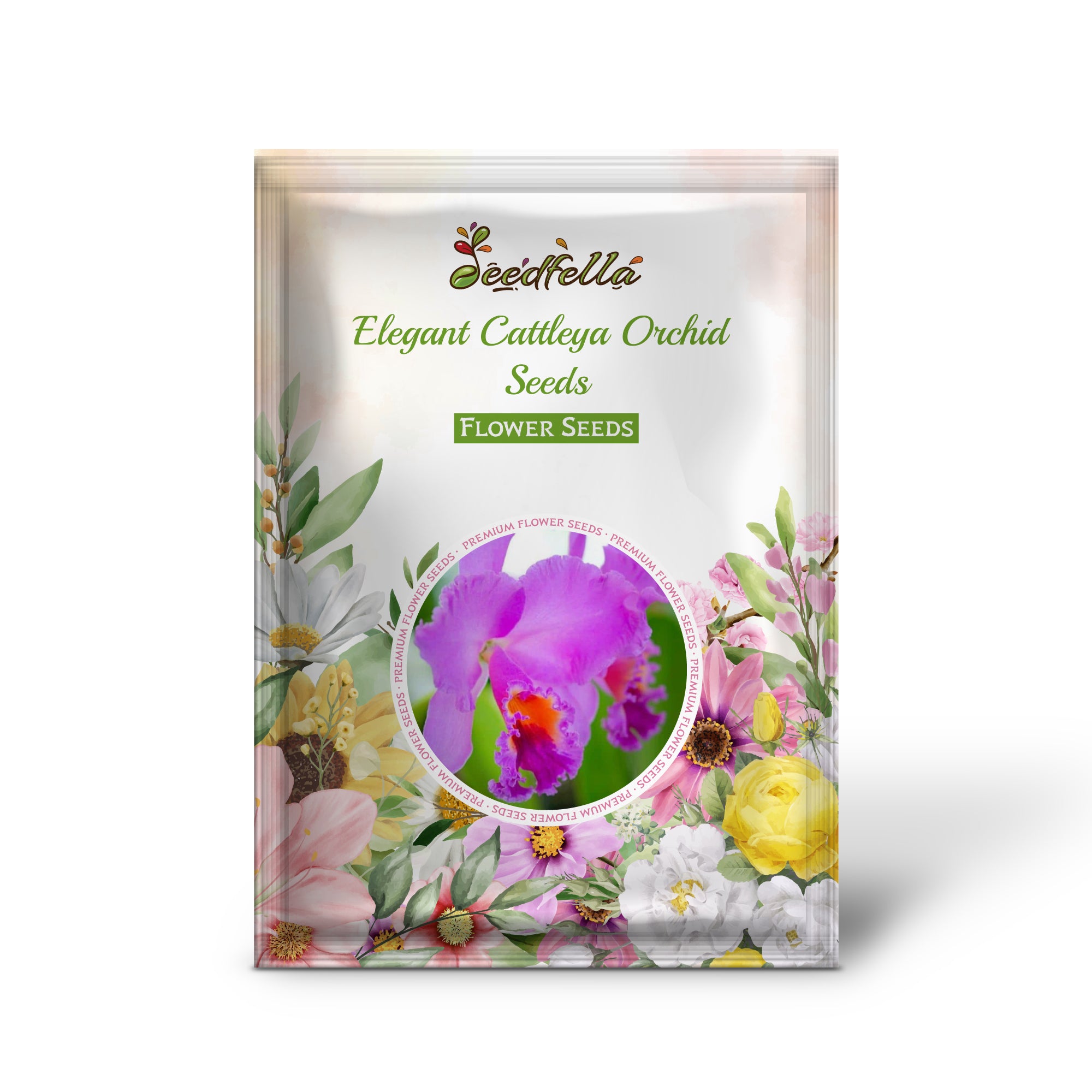 Vibrant Cattleya Orchid Blooms