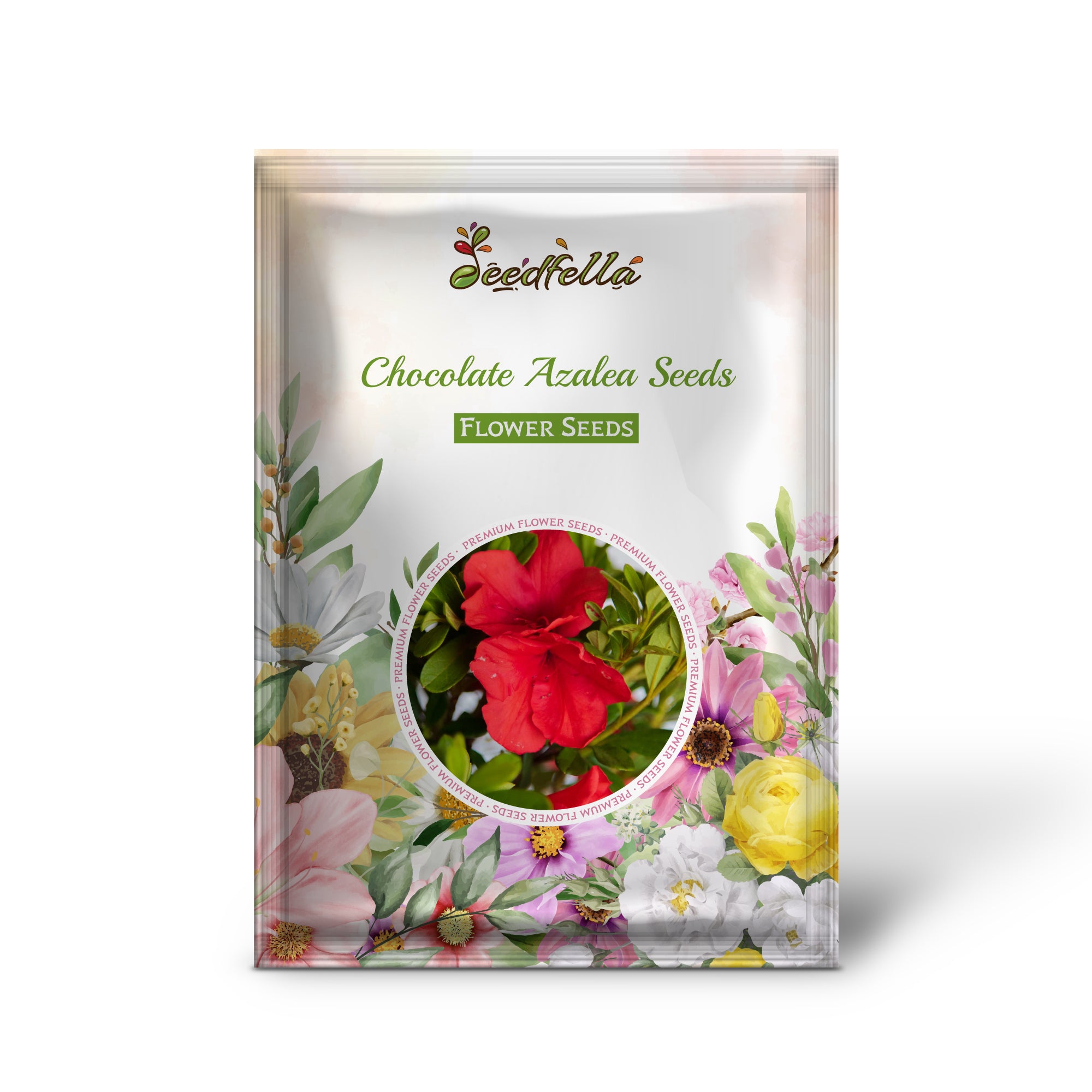 Vibrant Chocolate Azalea Red Blooms in Garden