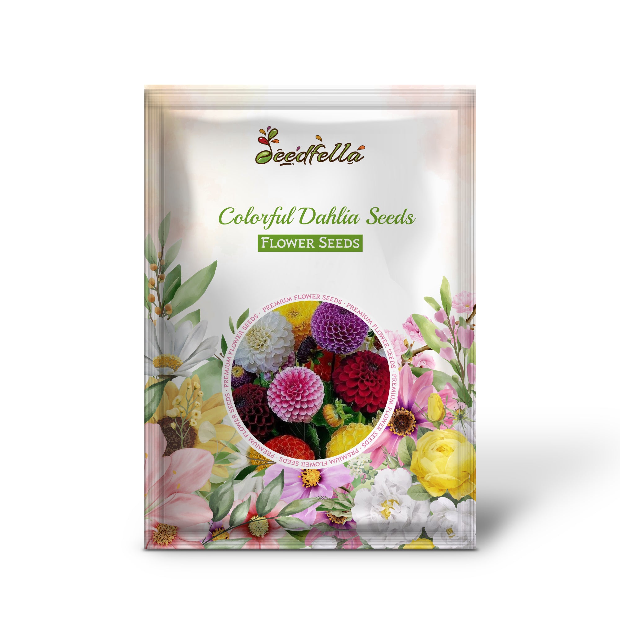 Vibrant Multi-Color Dahlia Flowers in Garden