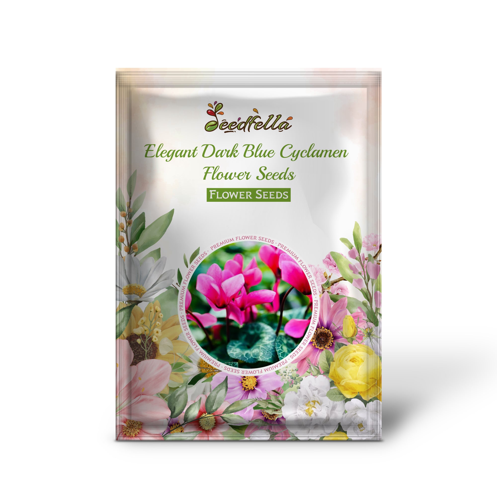 Vibrant Dark Blue Cyclamen Blooms in Garden