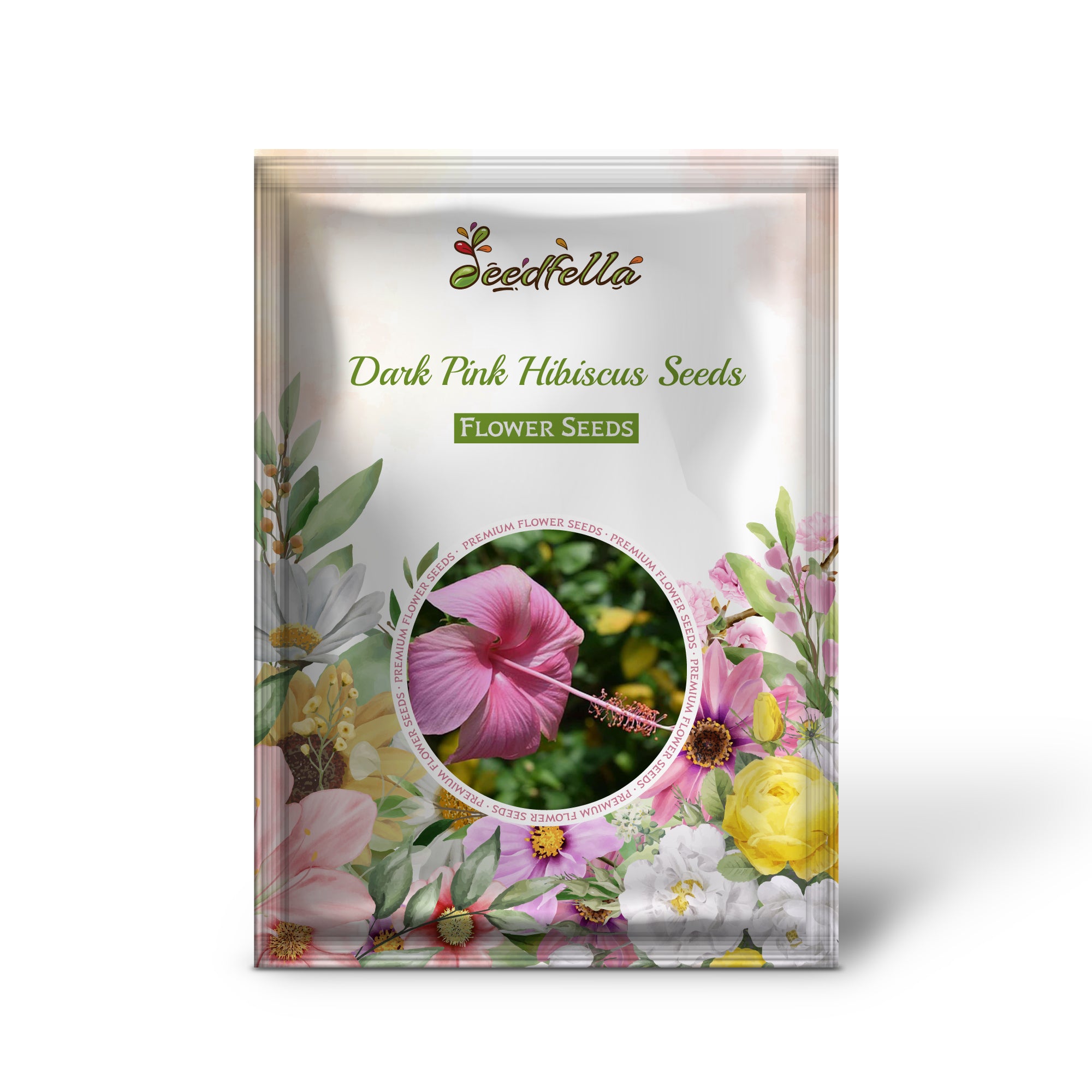 Vibrant Dark Pink Hibiscus Blooms in Garden