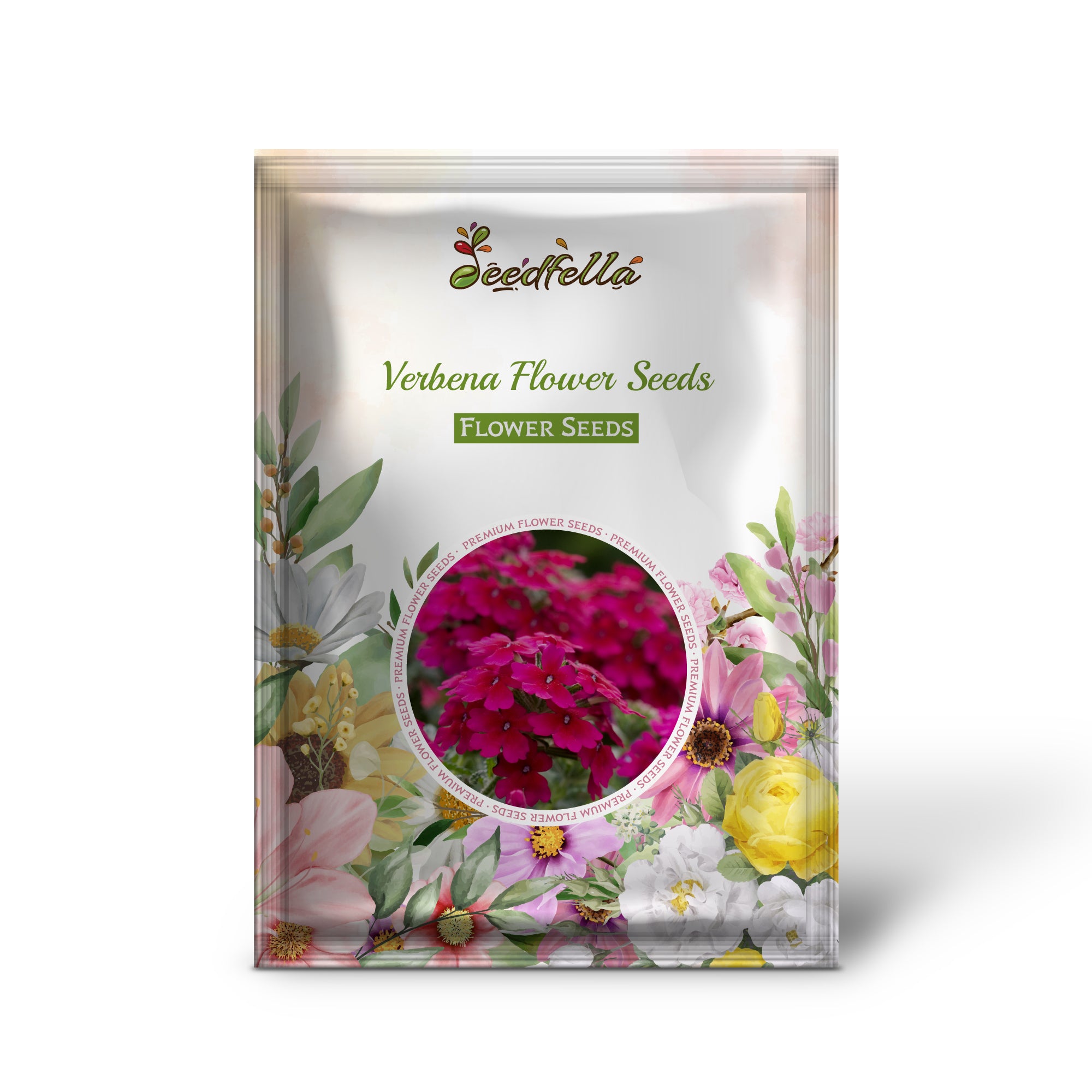 Vibrant Dark Pink Verbena Blooms in Garden