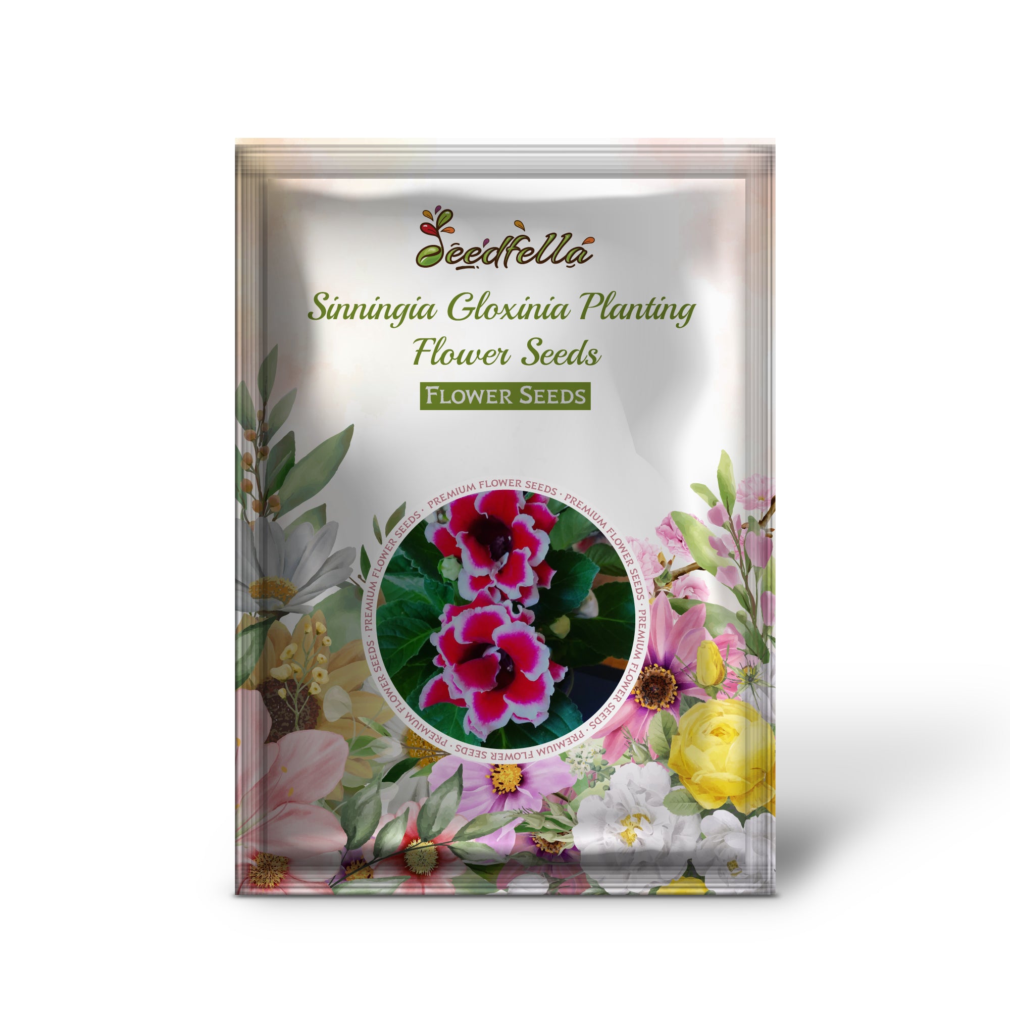 Vibrant Sinningia Gloxinia Blooms Indoors