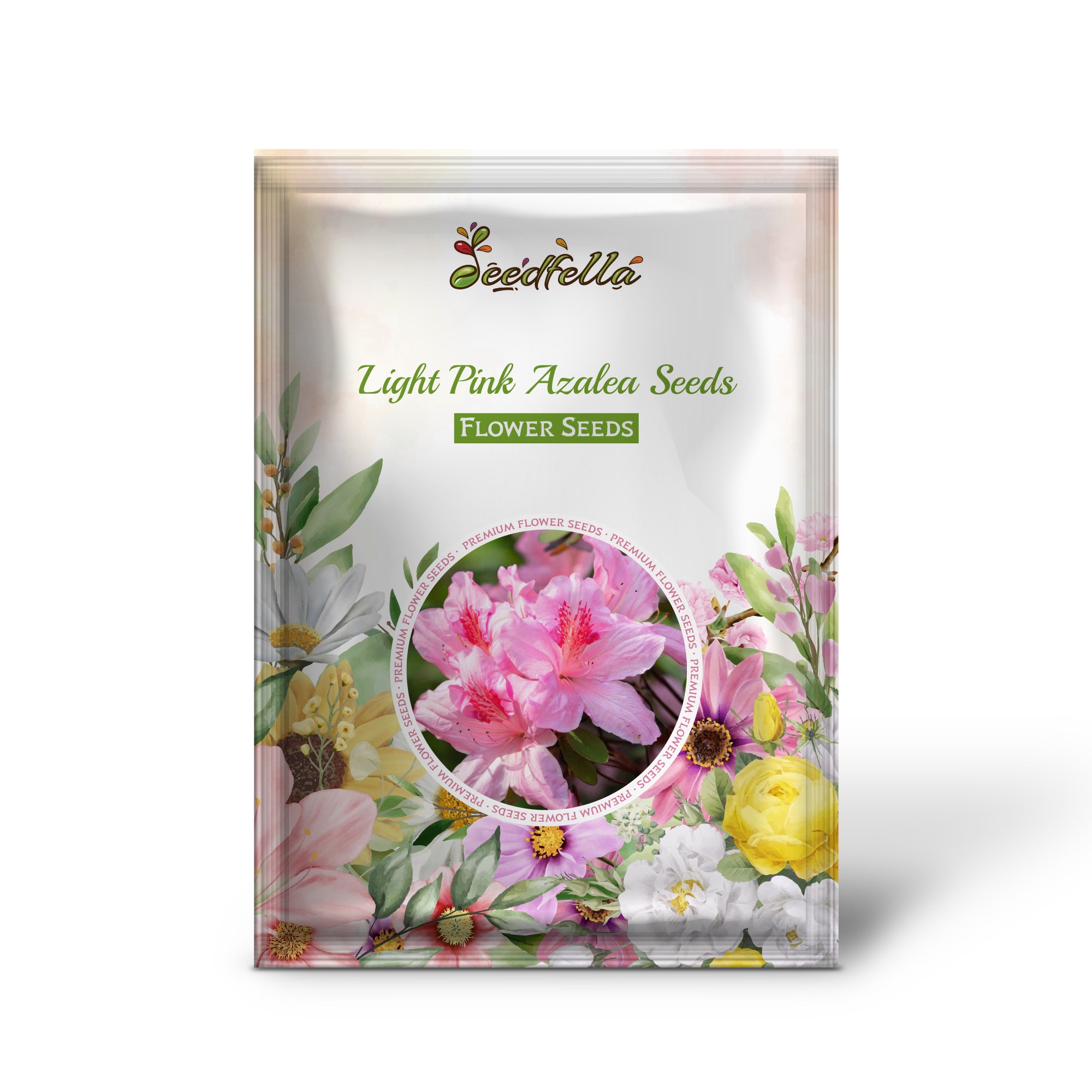 Vibrant Light Pink Azalea Blooms in Garden