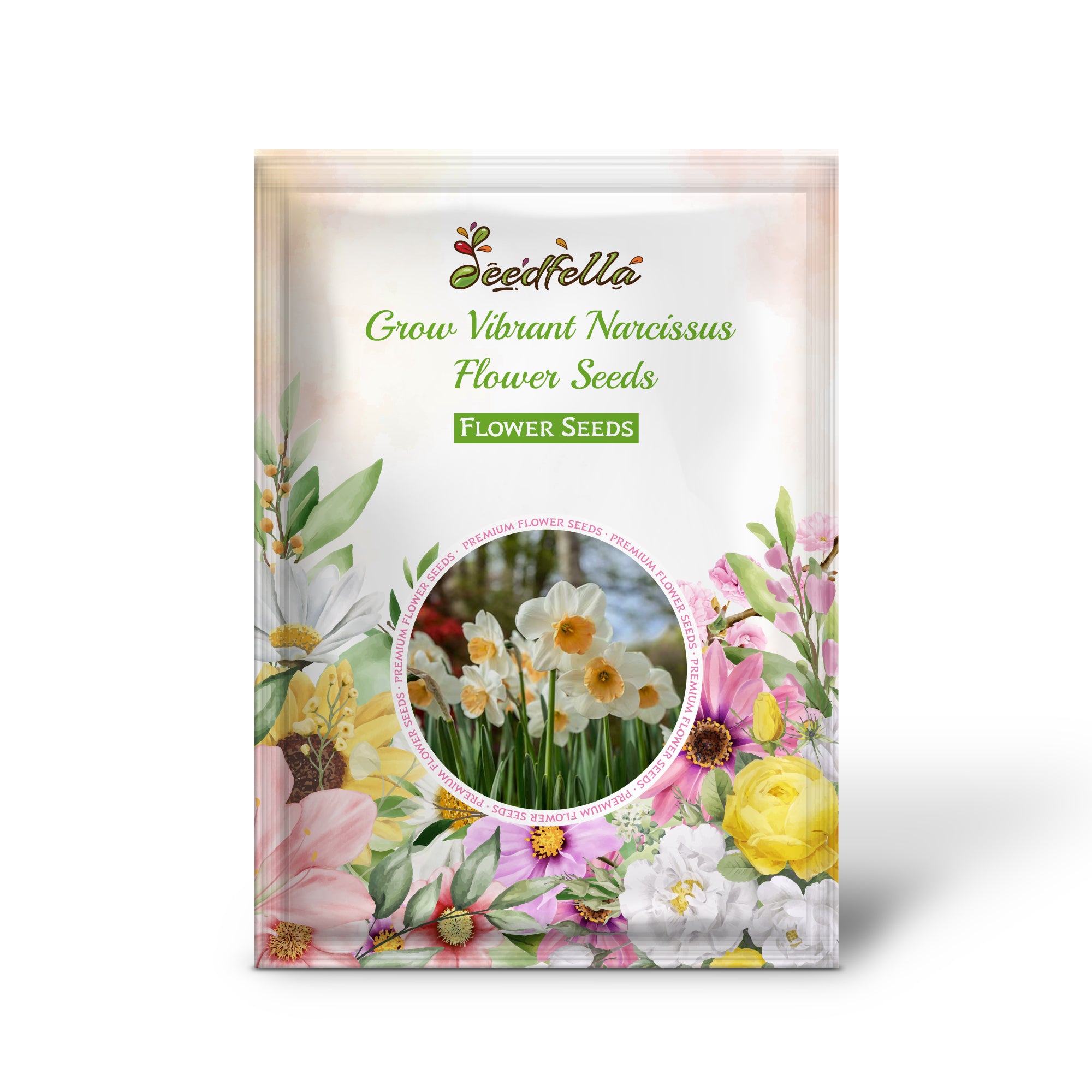 Vibrant Narcissus Blooms with Green and White Petals