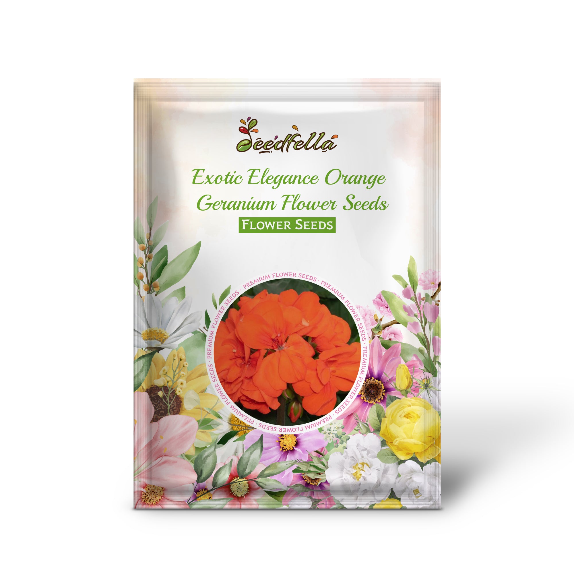 Vibrant Orange Geranium Blooms in Full Sunc