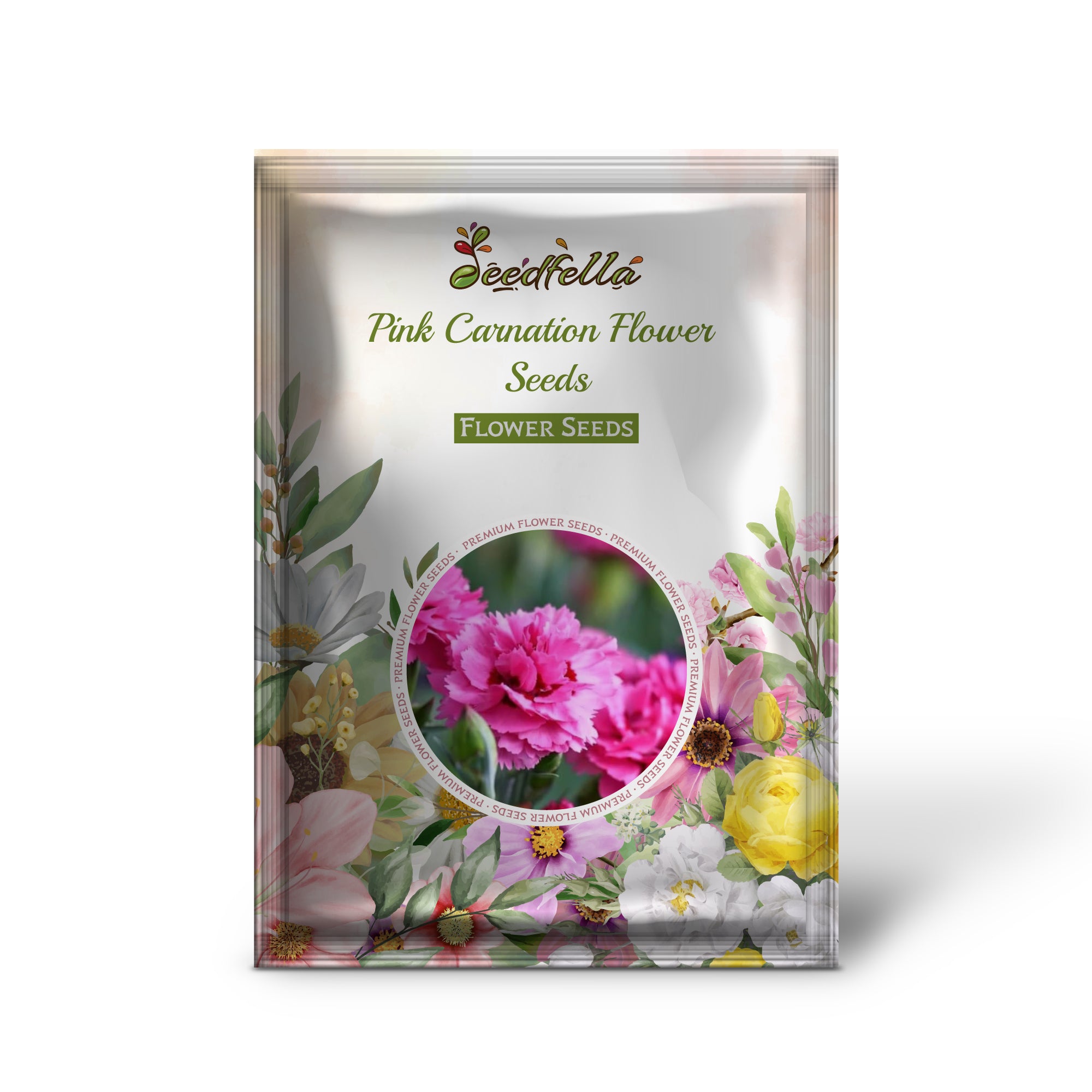 Vibrant Pink Carnation Flowers Blooming in Garden