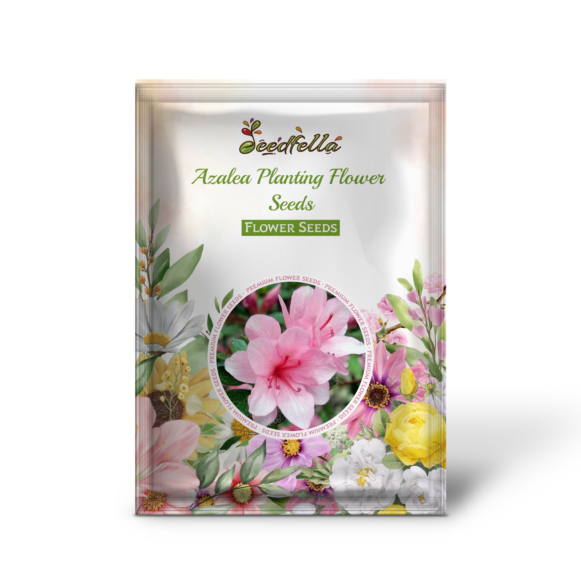 Vibrant Pink & Green Azalea Blooms in Garden