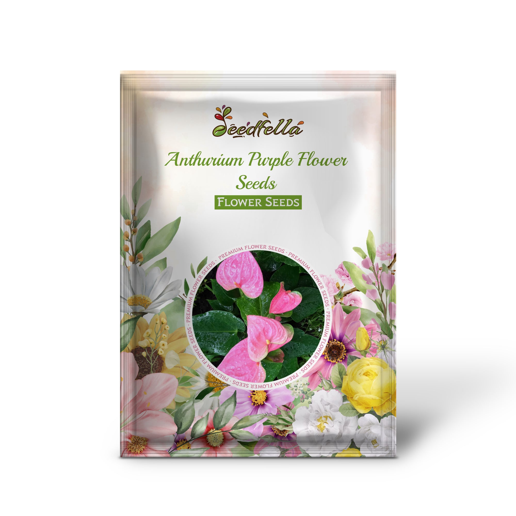 Vibrant Purple Anthurium Blooms in Garden