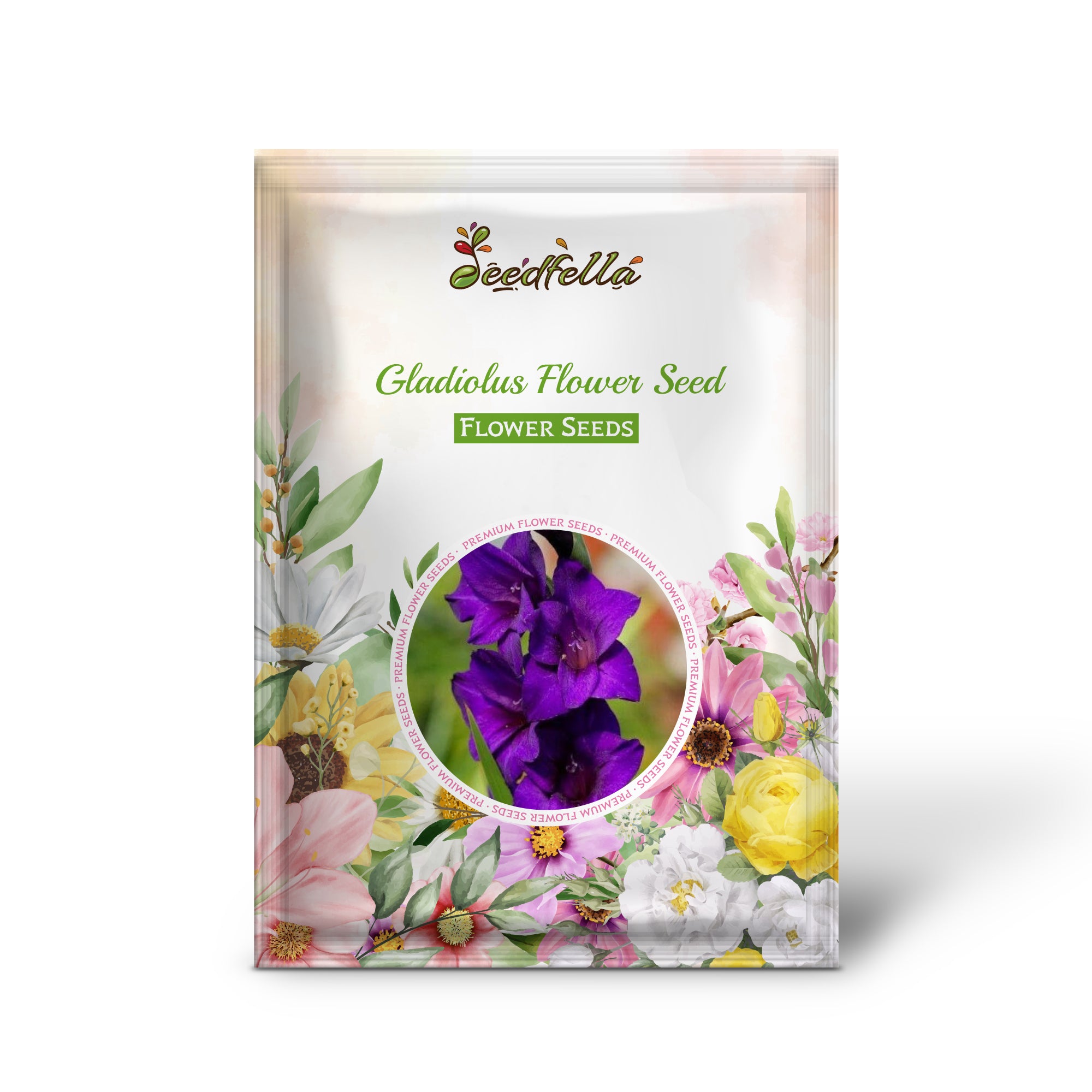 Vibrant Purple Gladiolus Blooms for Garden Decoration