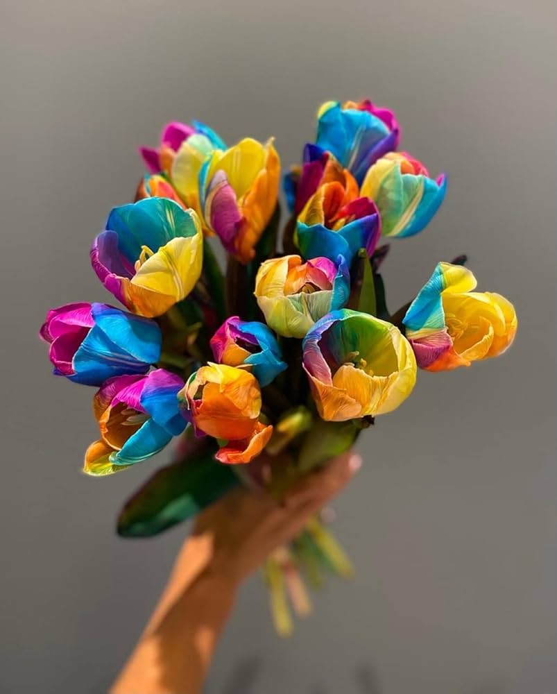 Vibrant Rainbow Tulips Blooming in Spring Garden