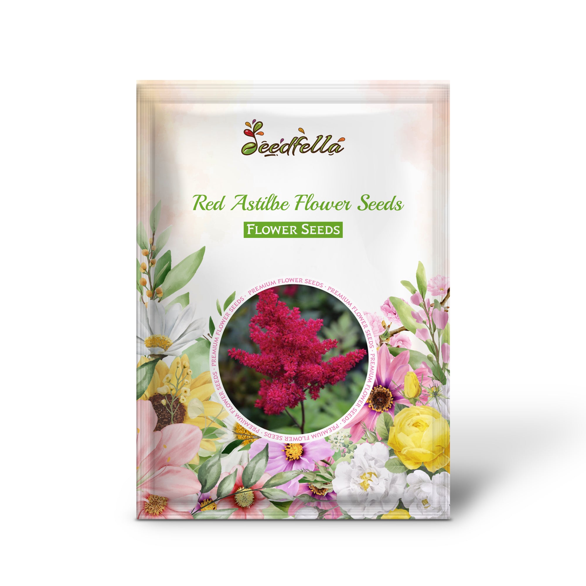 Vibrant Red Astilbe Blooms for Elegant Garden Displays