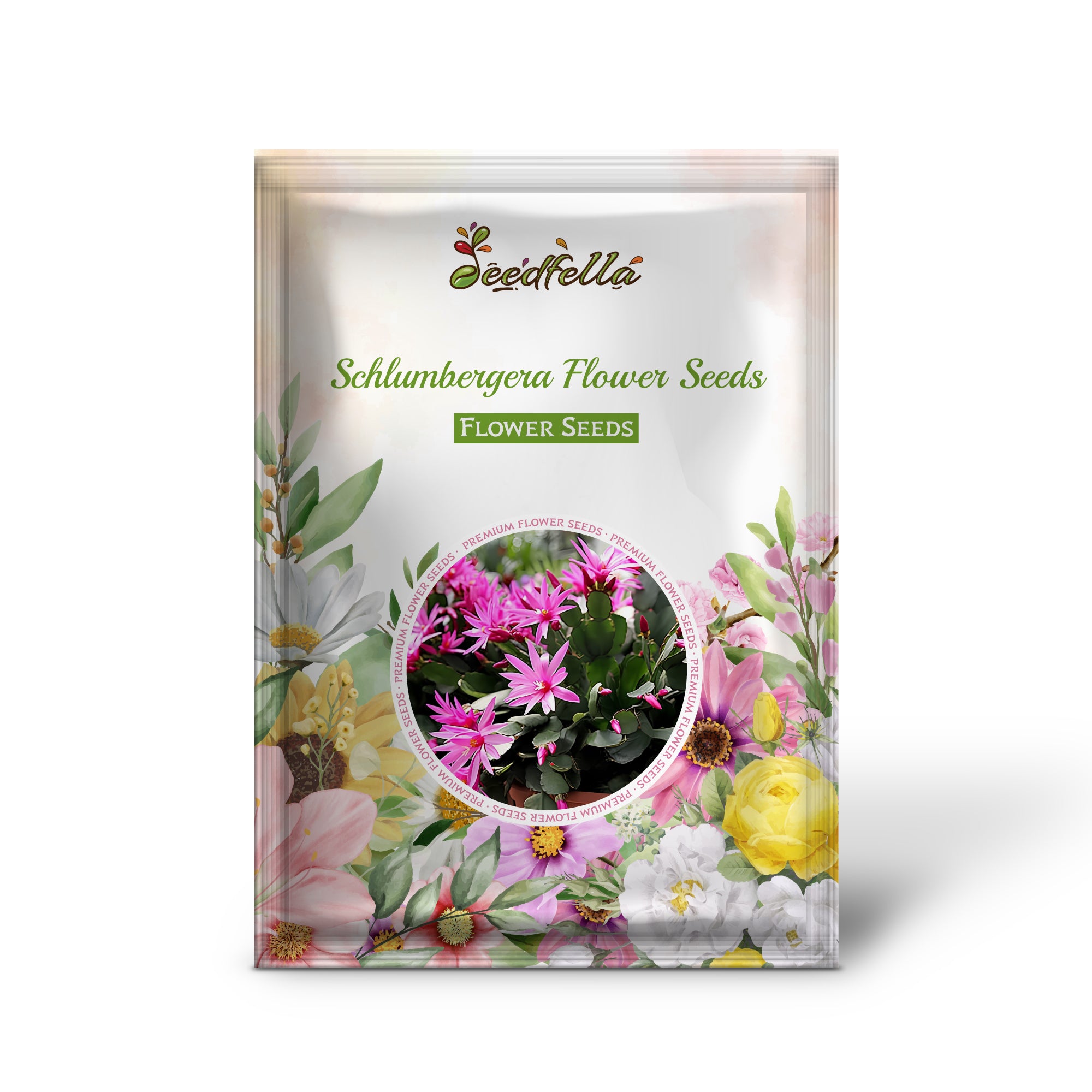 Vibrant Schlumbergera Blooms in Garden