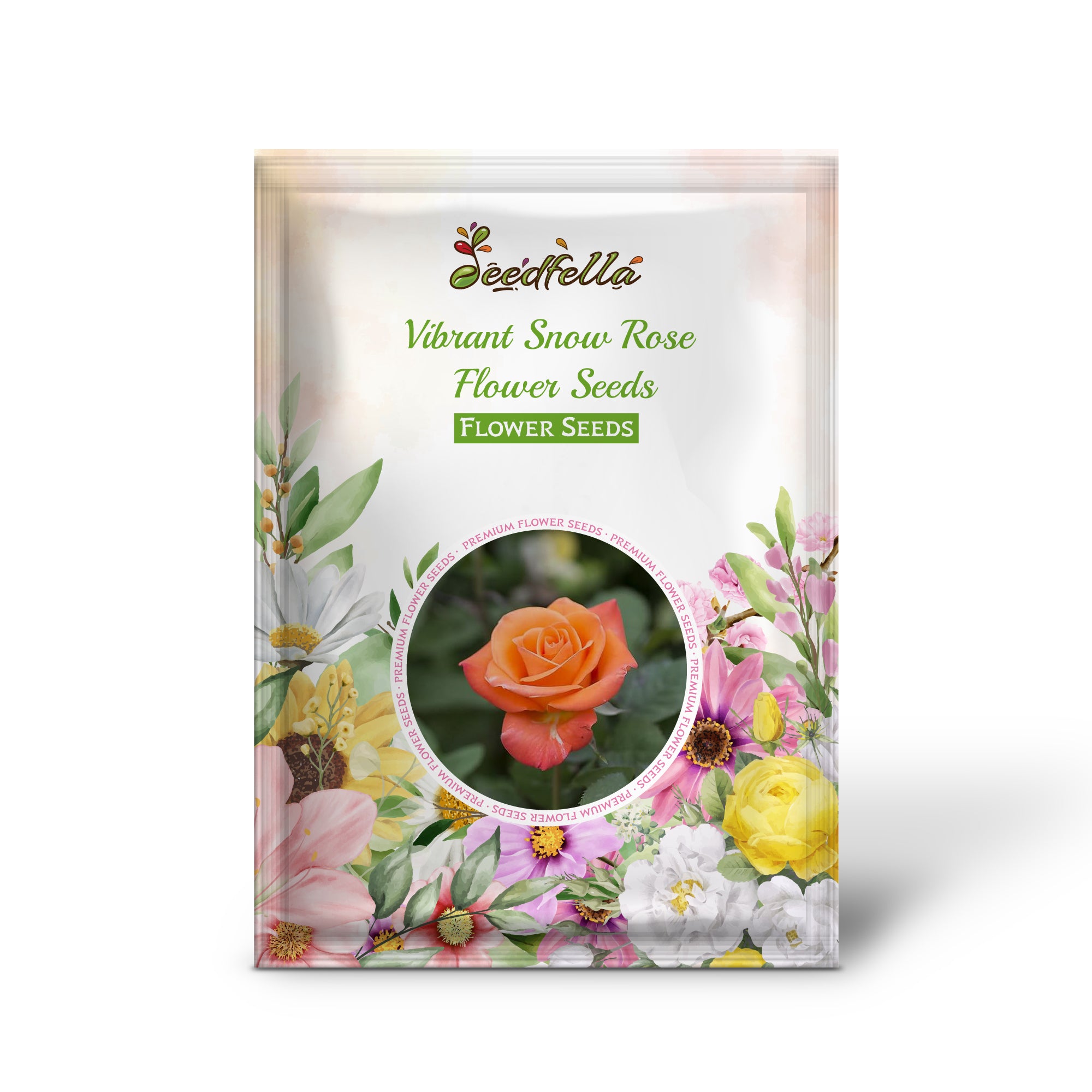 Vibrant Snow Rose Blooms for Garden Decoration