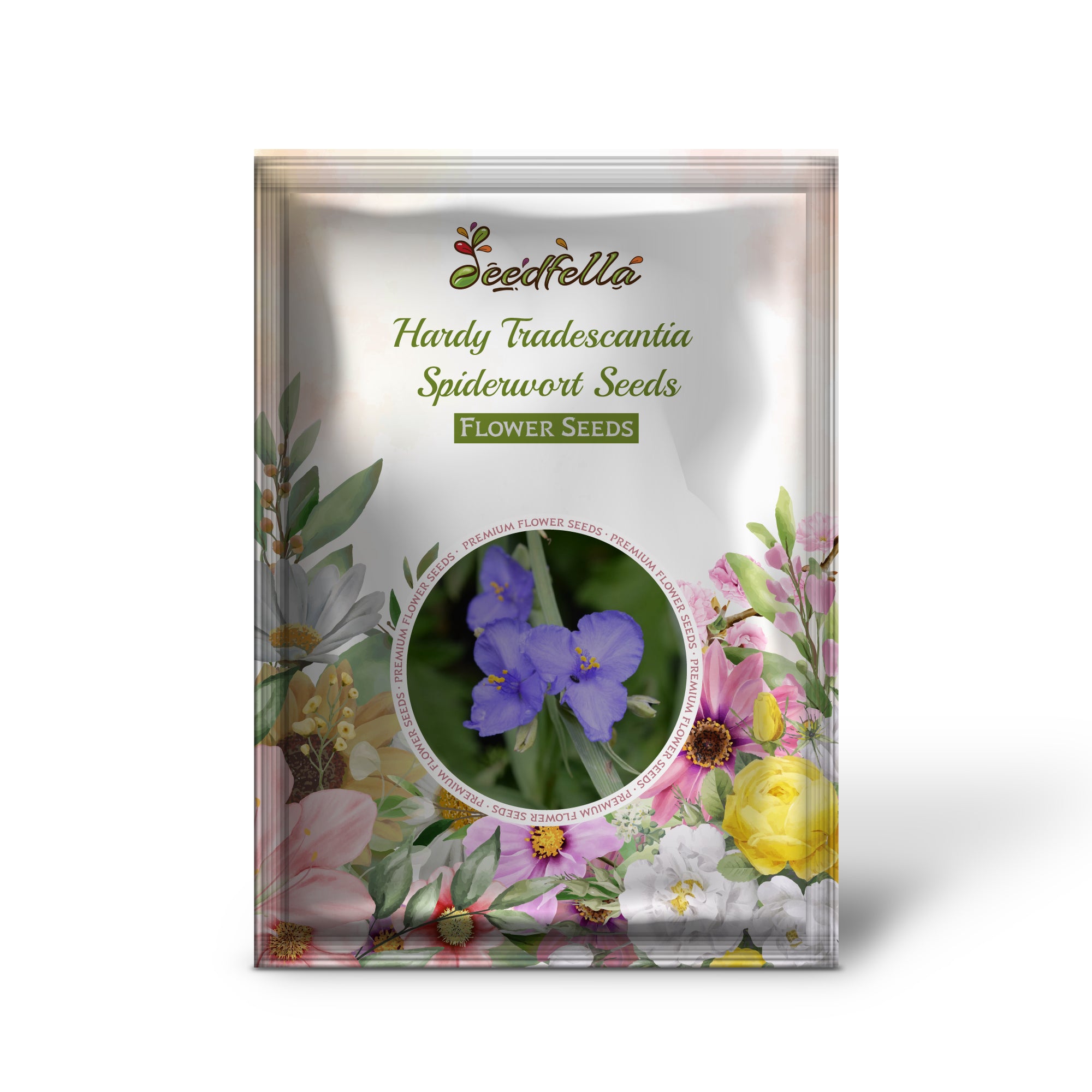 Vibrant Tradescantia Spiderwort Blooms in Garden