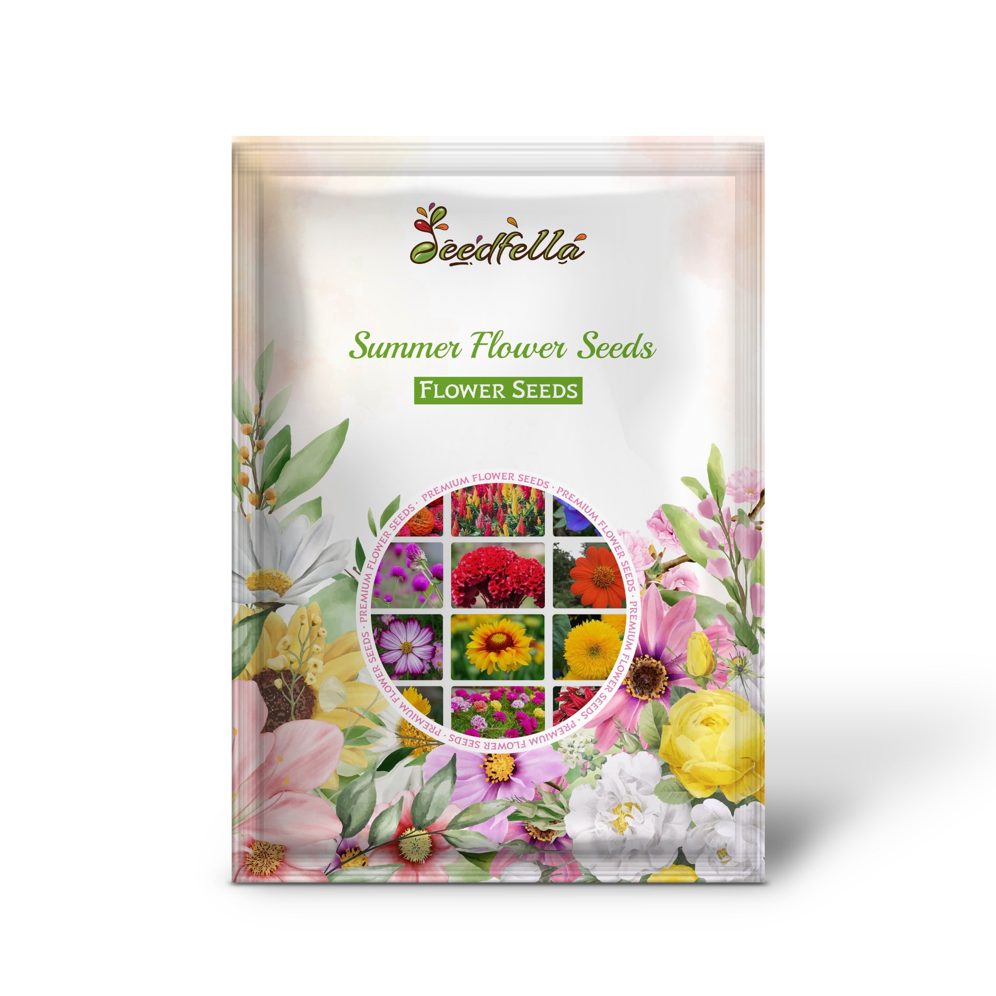 Vibrant Summer Flower blooms for colorful gardens