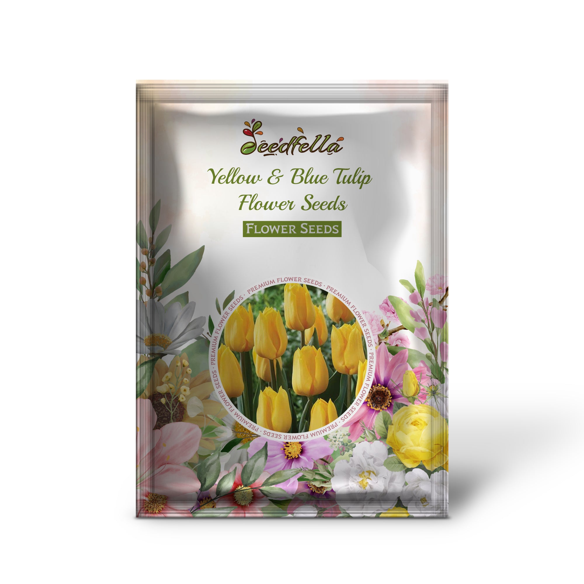 Vibrant Yellow and Blue Tulip Flowers Blooming in Garden