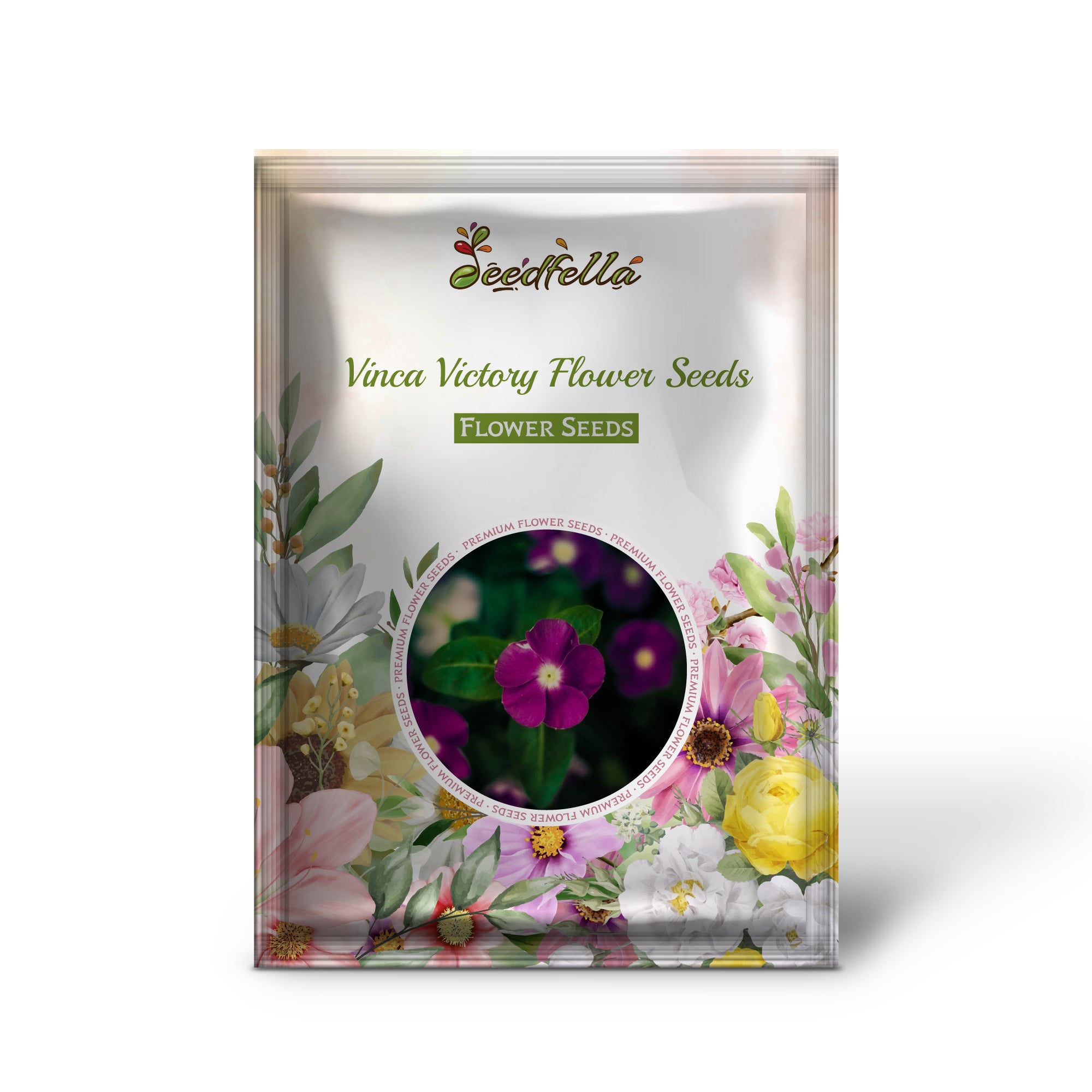 Vibrant Vinca Victory Blooms in Garden